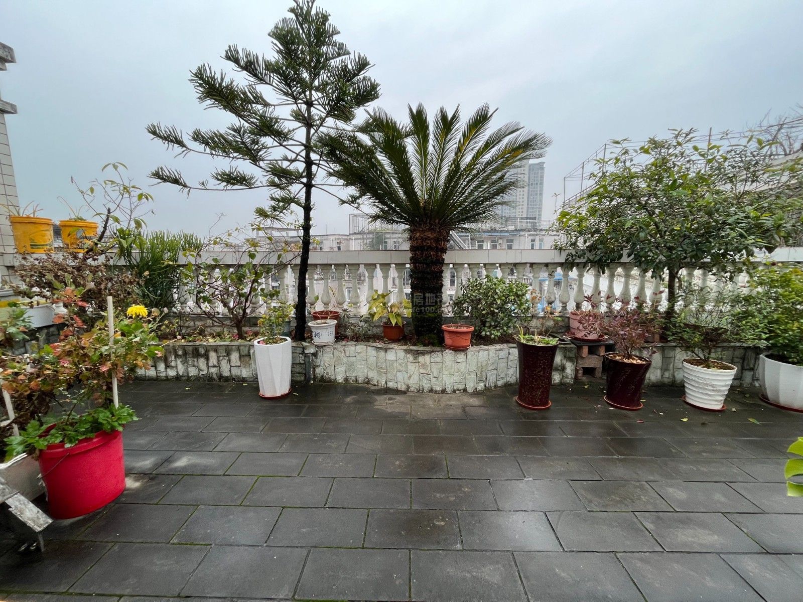 M-10921二手房图片