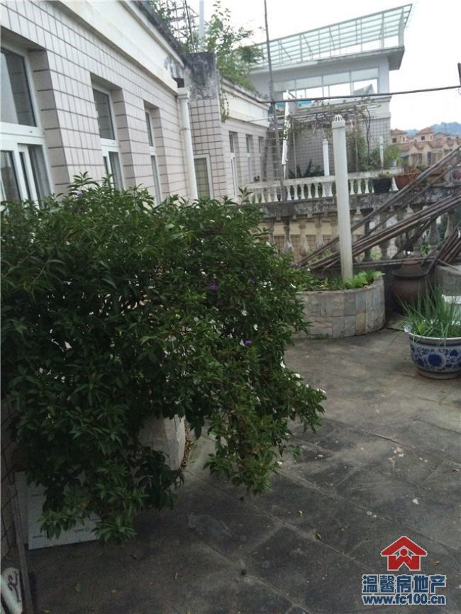 M-11005二手房图片