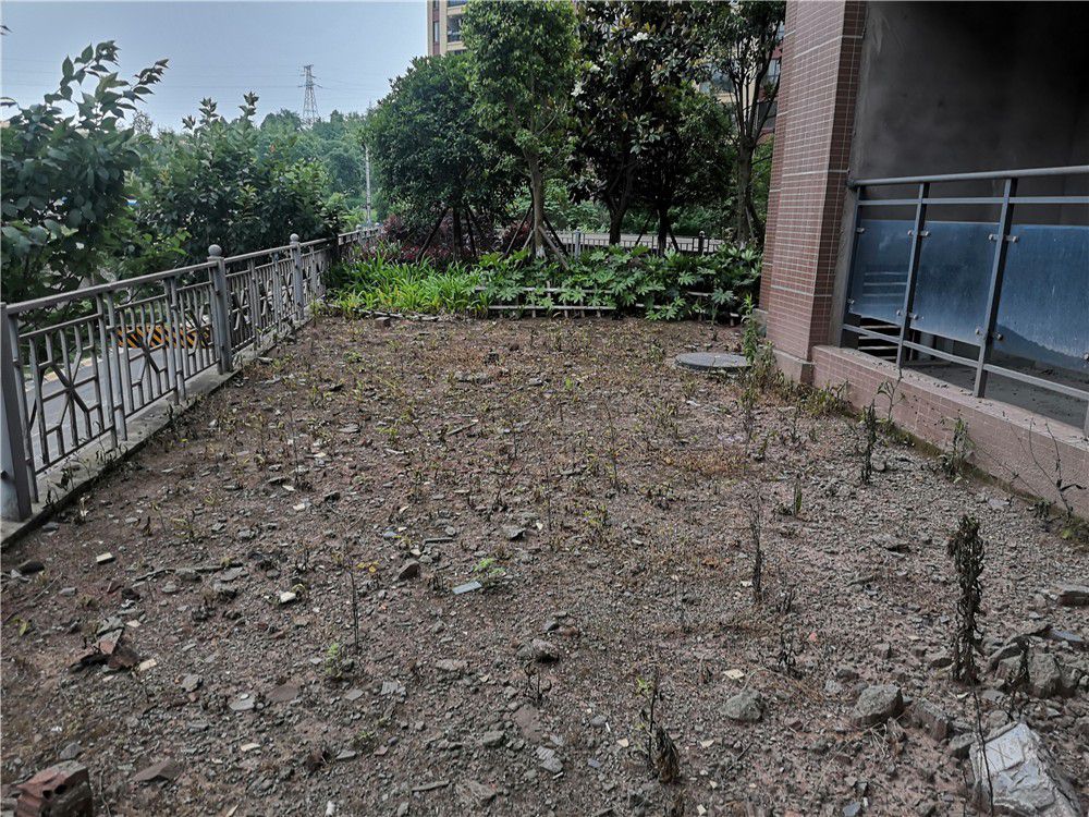 M-13233二手房图片