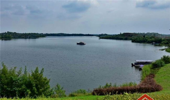 M-15909二手房图片