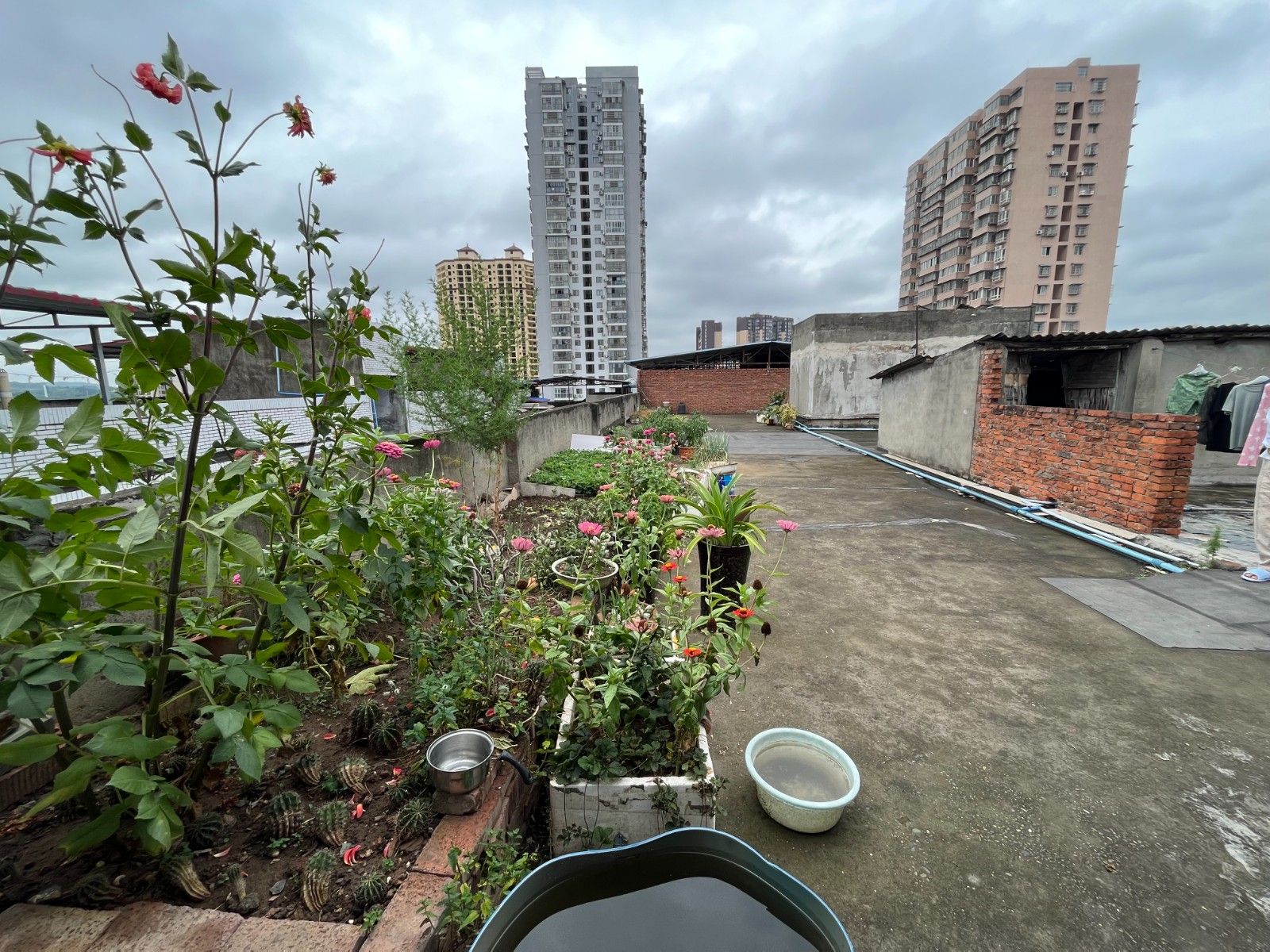 M-18432二手房图片