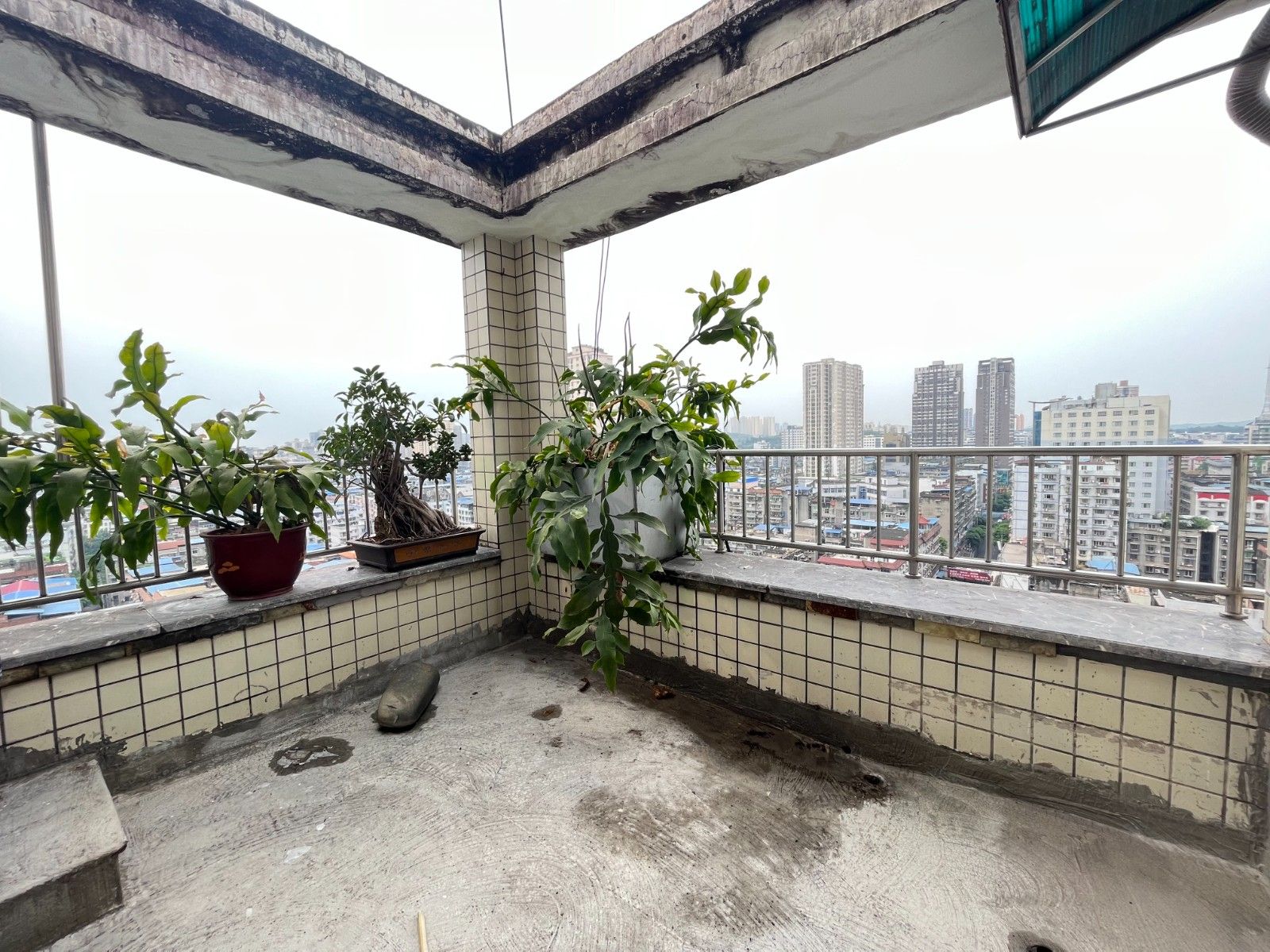 M-21029二手房图片