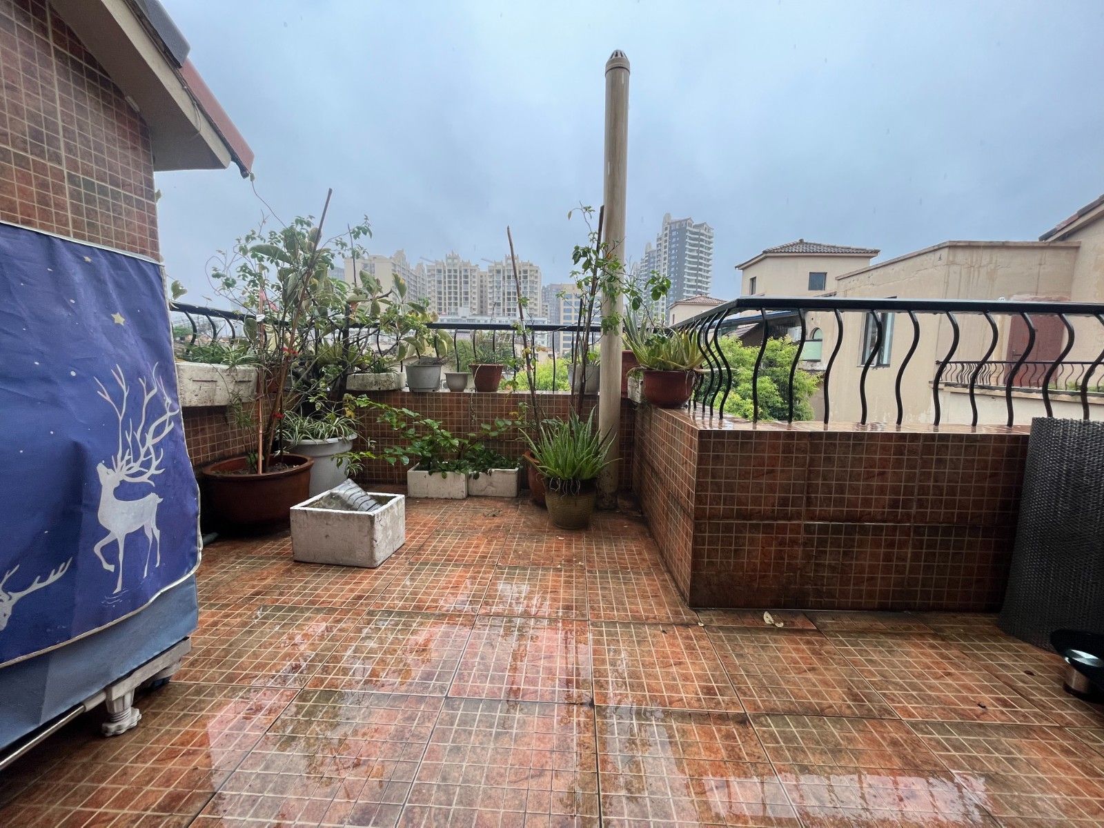 M-22611二手房图片