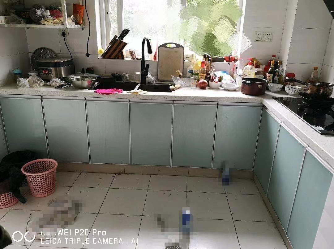 M-26828二手房图片