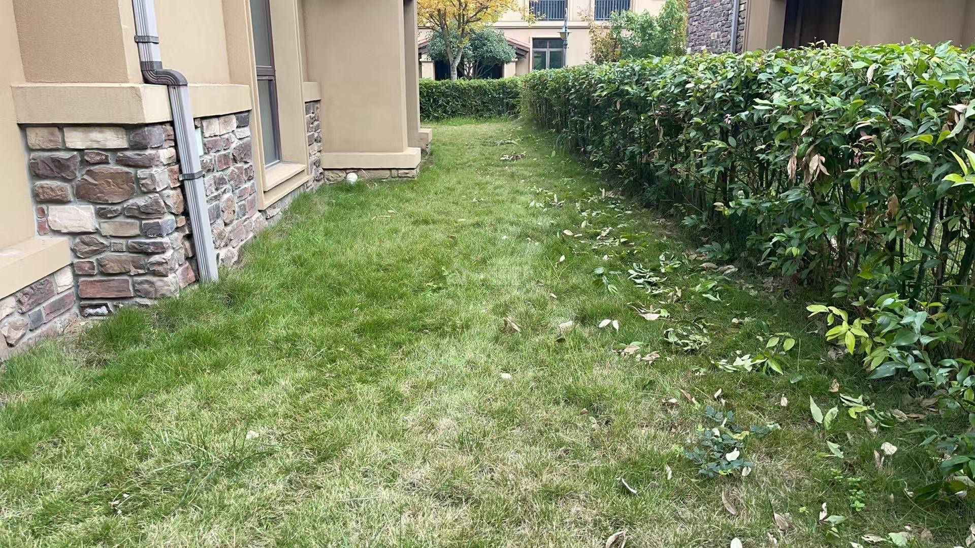 M-33115二手房图片