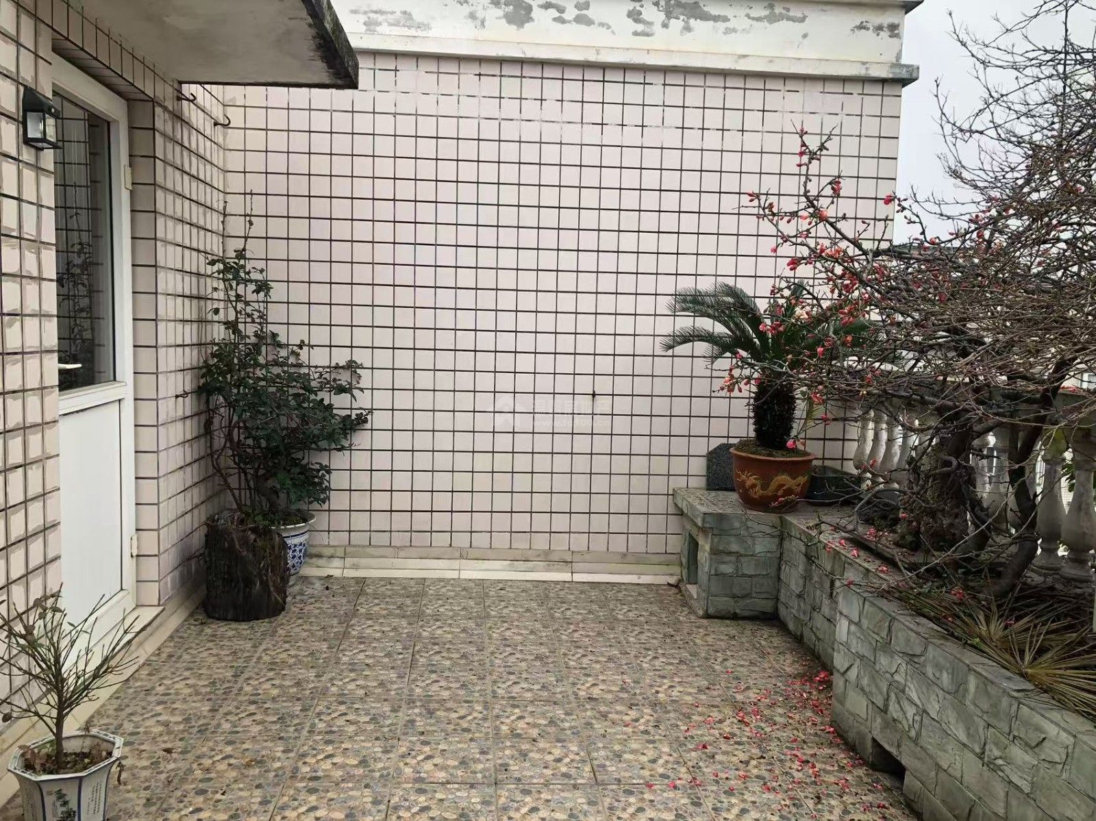 M-36372二手房图片