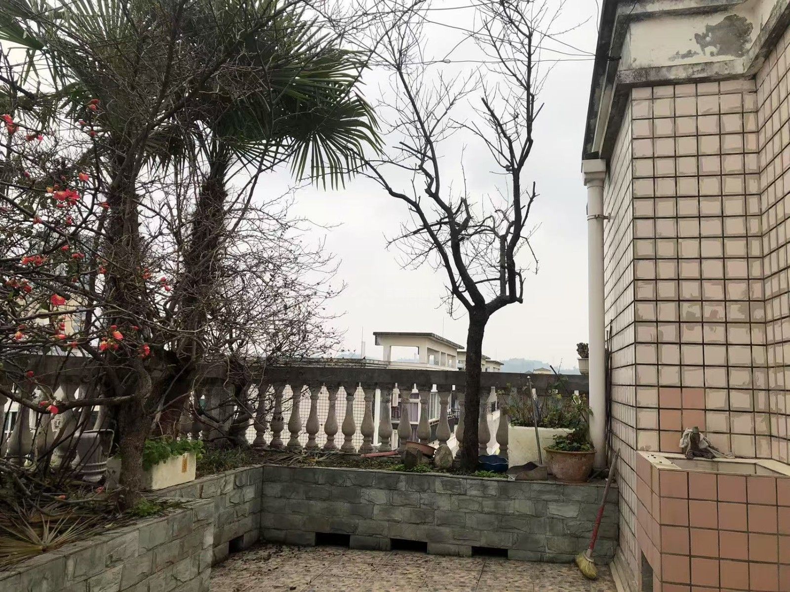 M-36372二手房图片