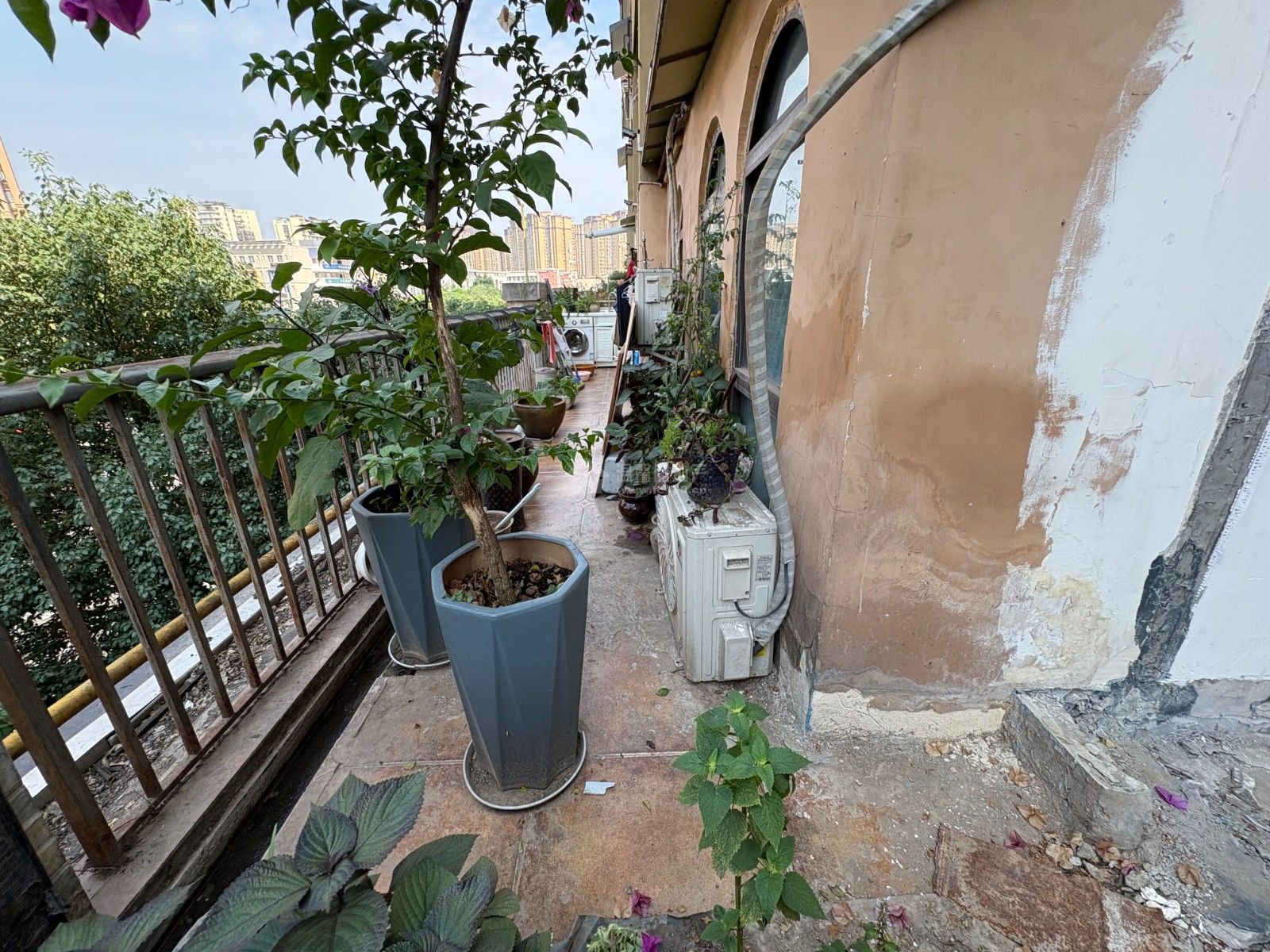 M-38148二手房图片