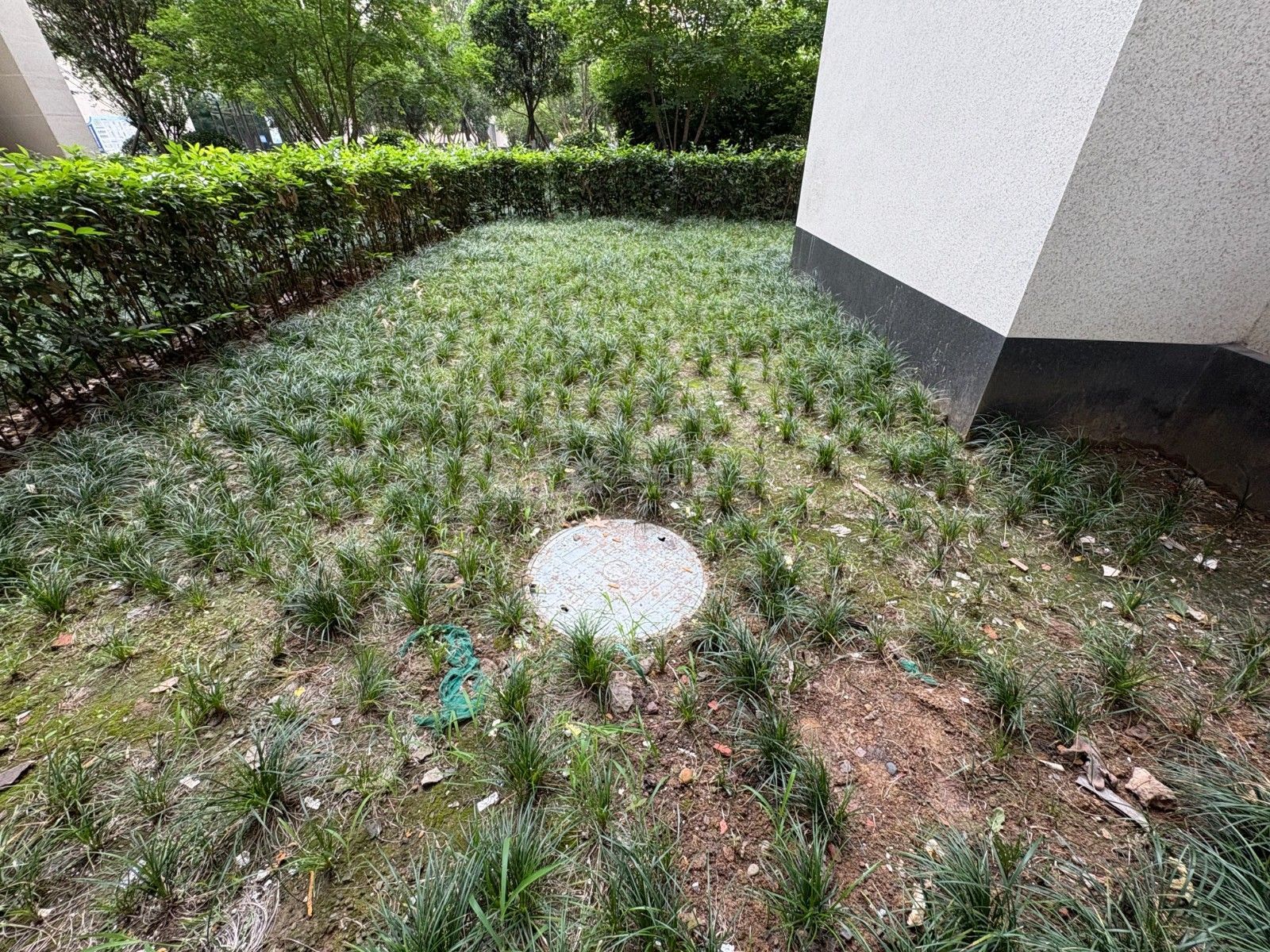 M-38484二手房图片