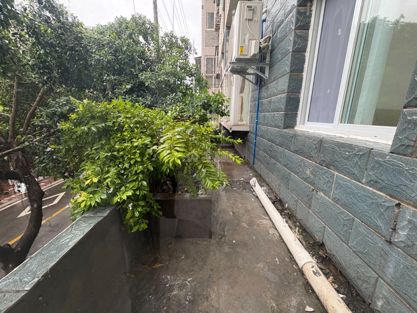 M-39250二手房图片