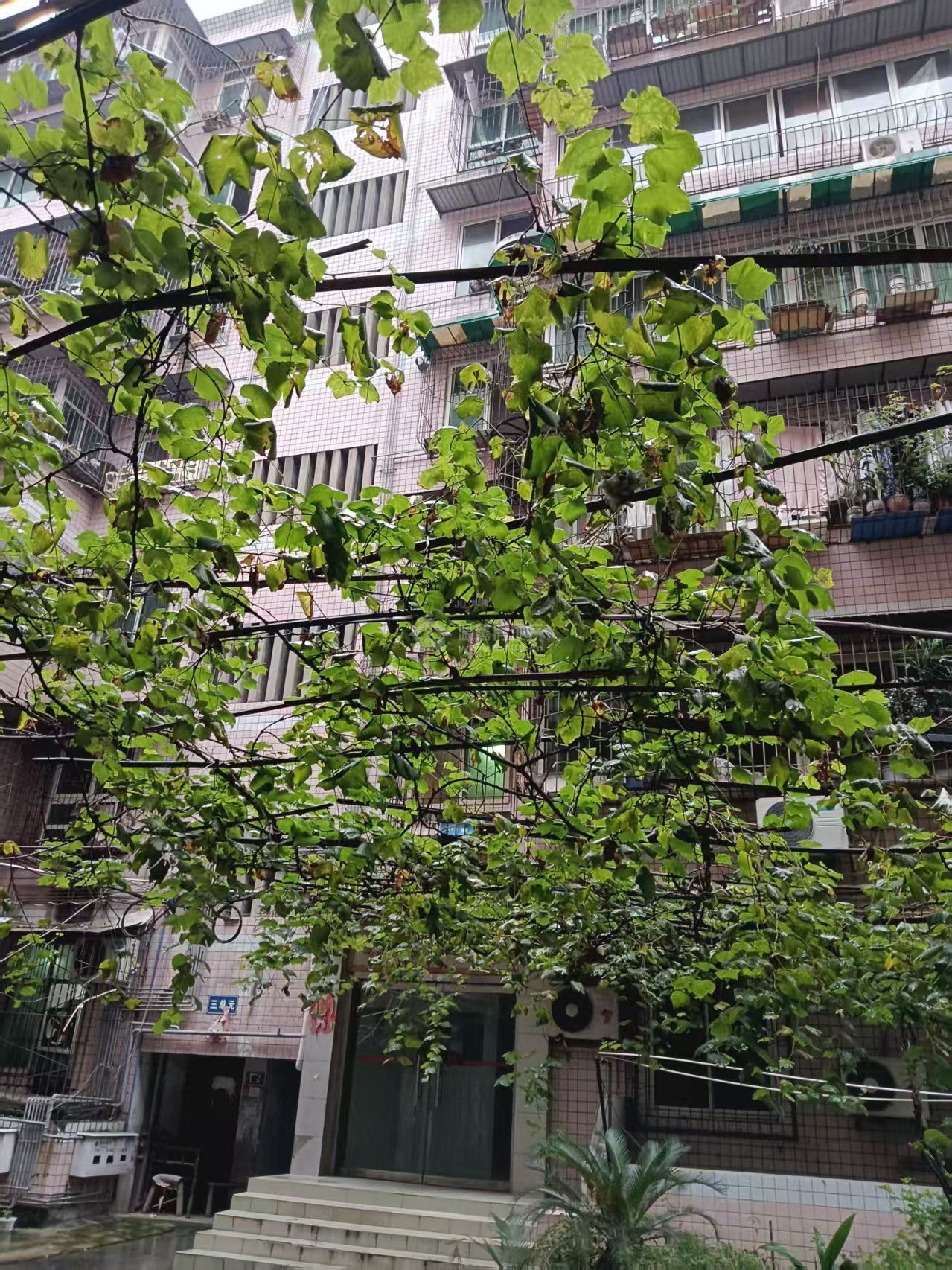 M-39546二手房图片