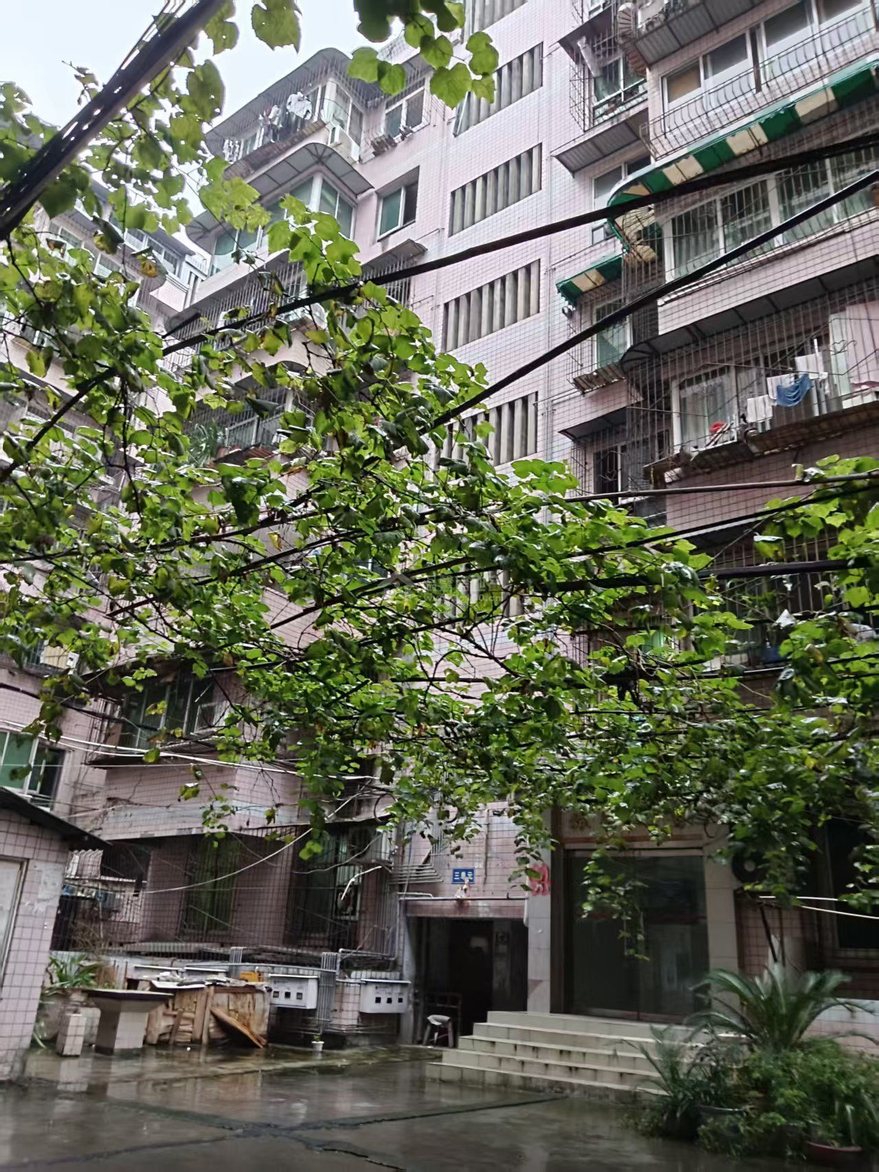 M-39546二手房图片