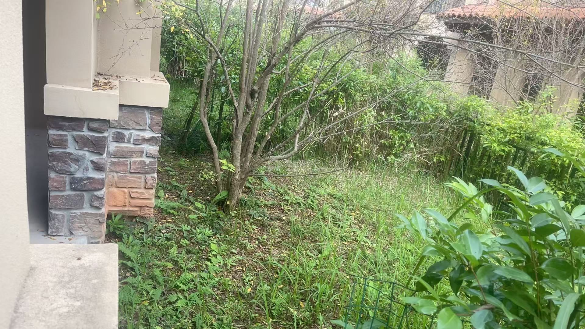 M-40318二手房图片