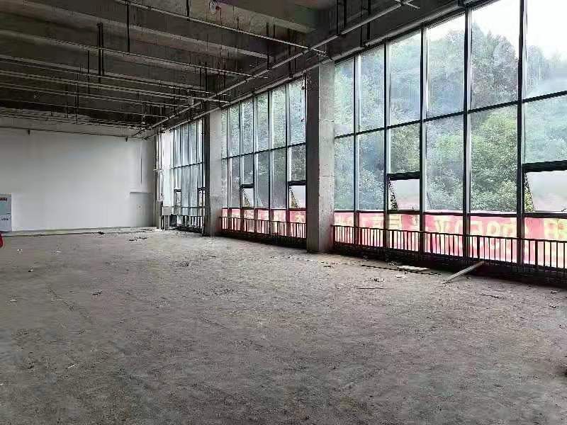 Z-15259二手房图片