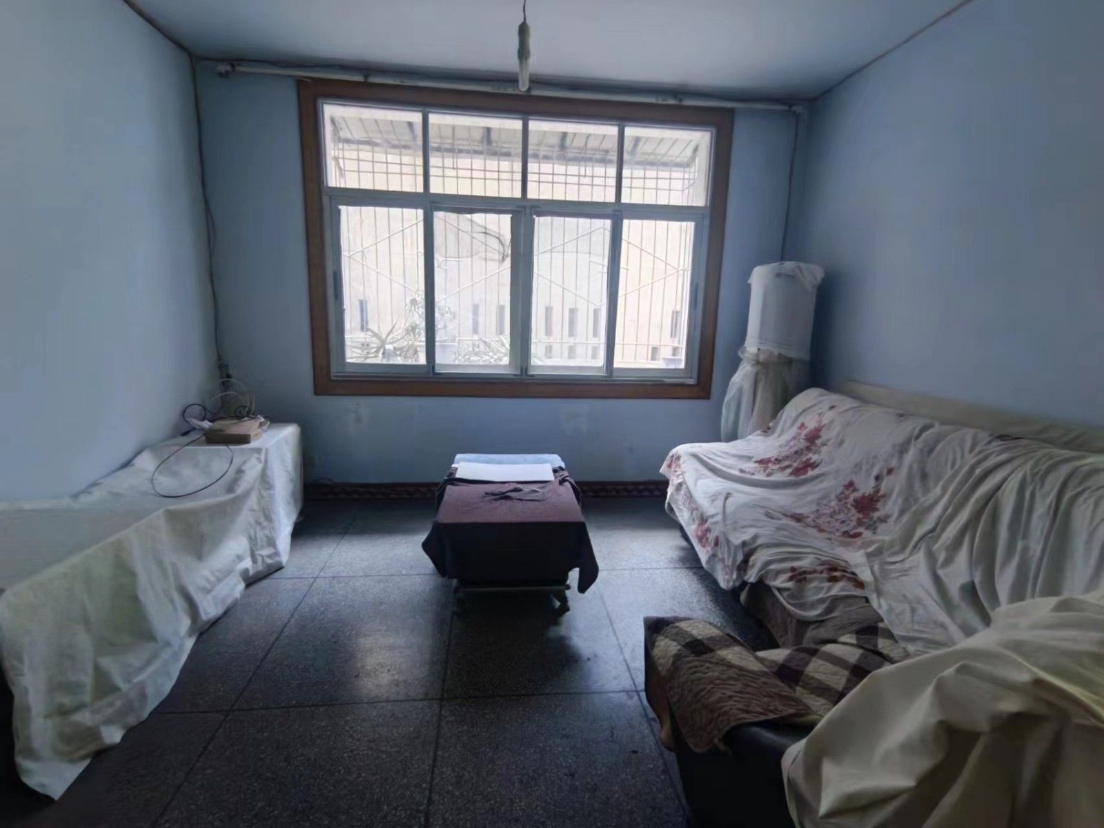 Z-19117二手房图片