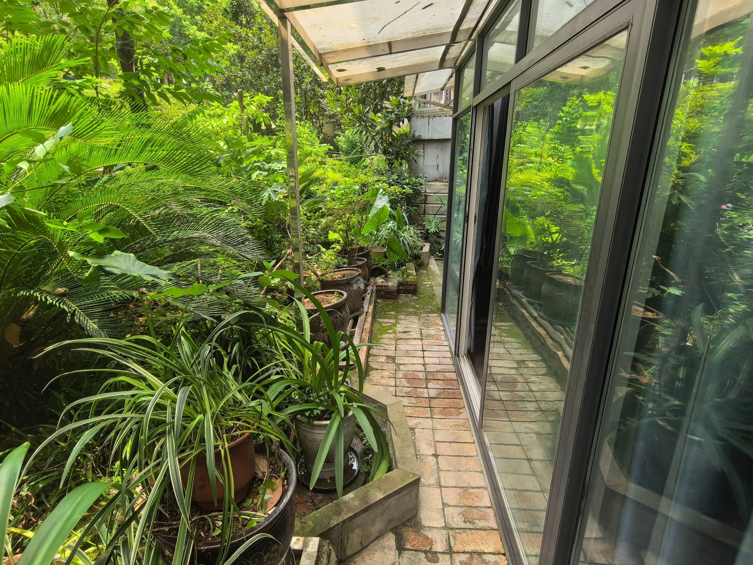 Z-38480二手房图片