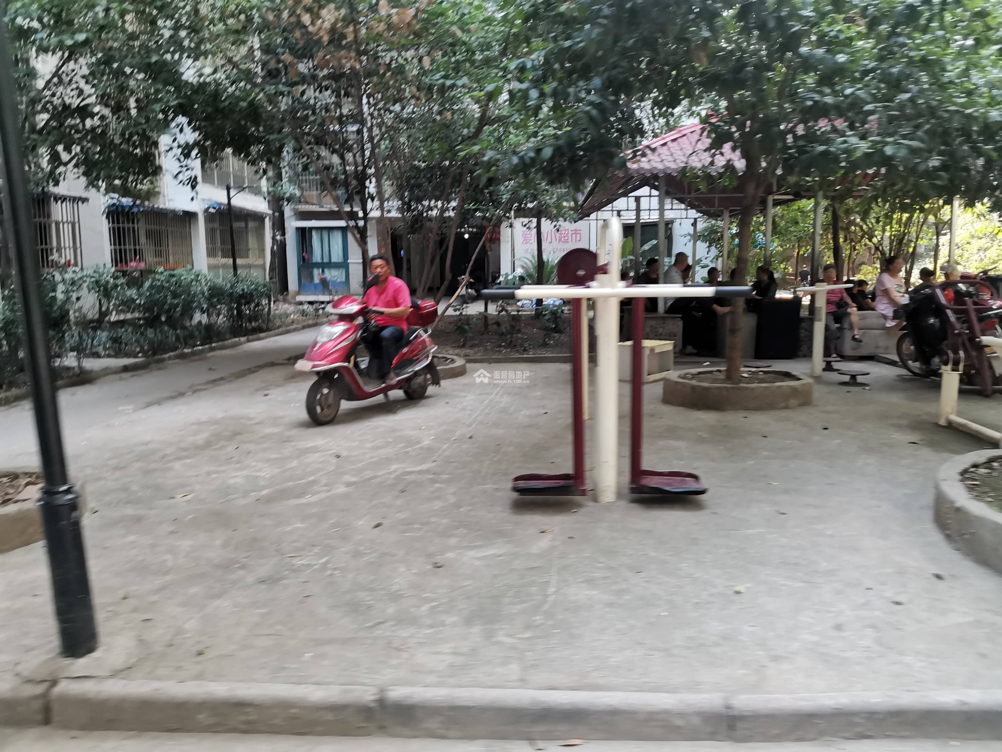 公园印象   图片