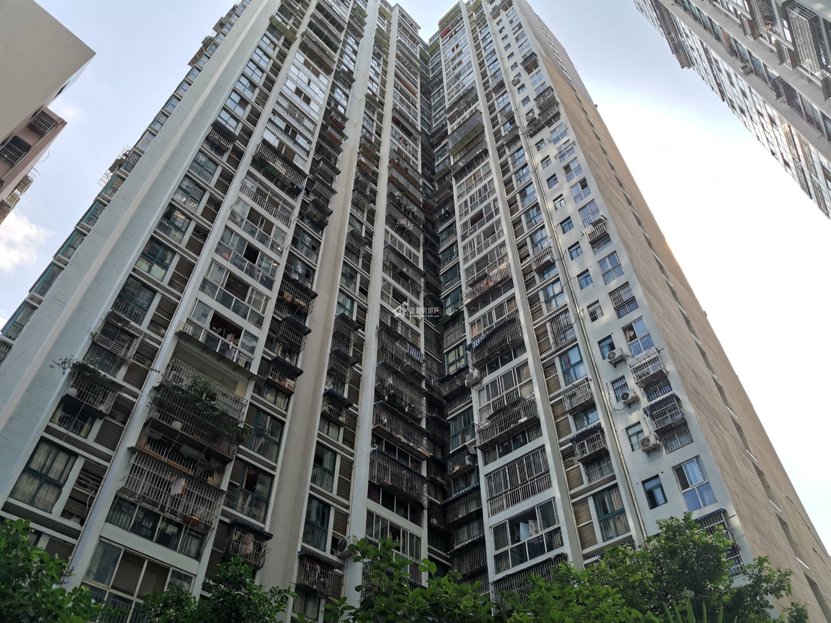 公园印象   图片