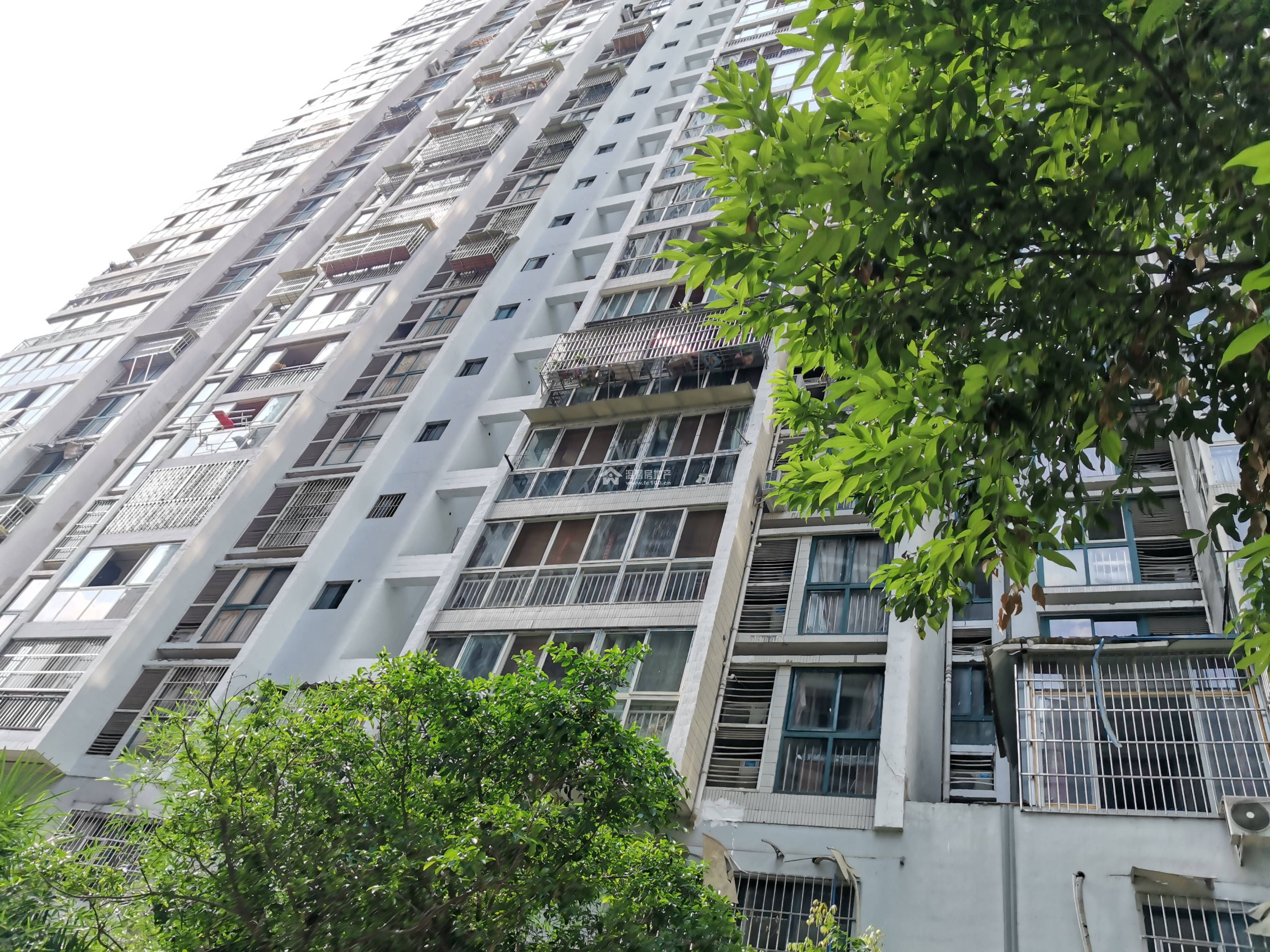 公园印象   图片