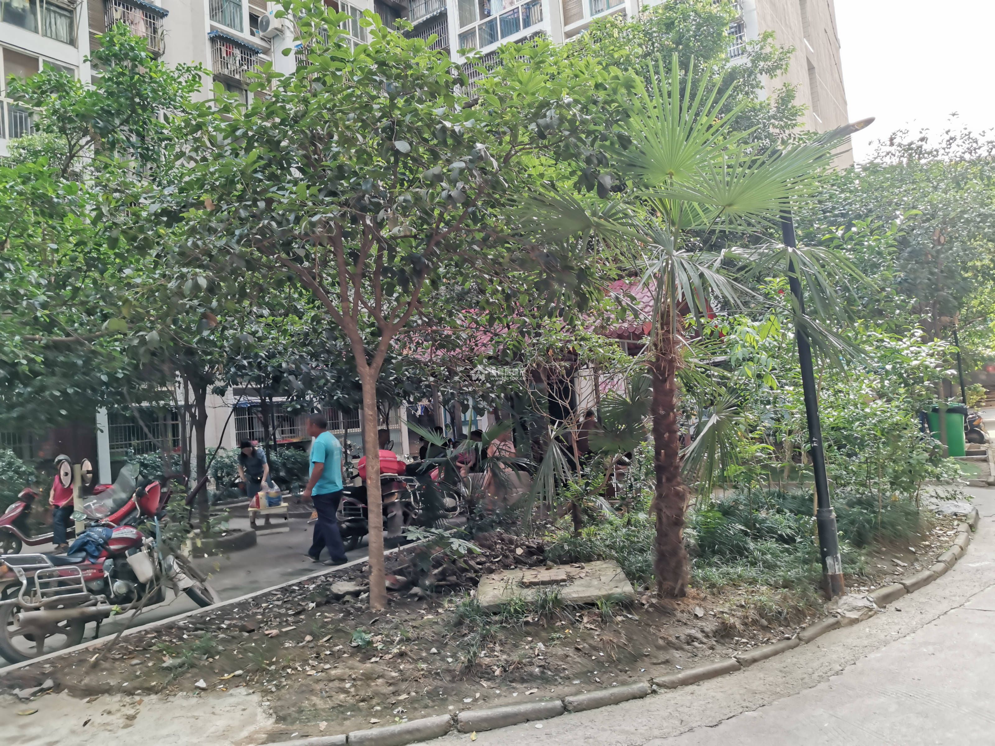 公园印象   图片