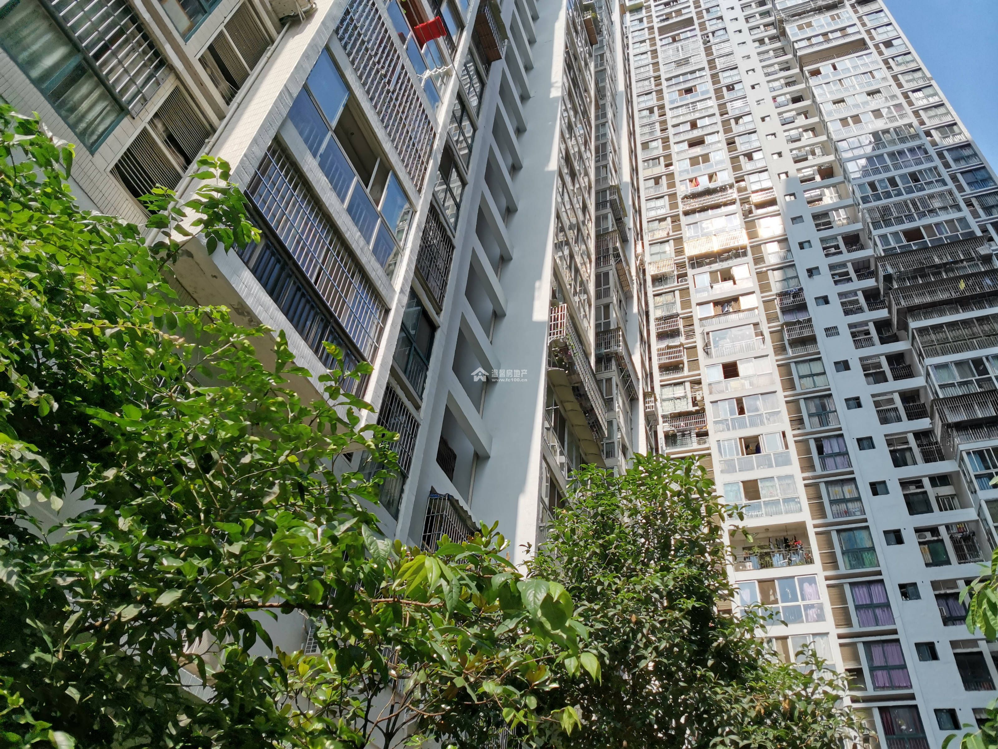 公园印象   图片