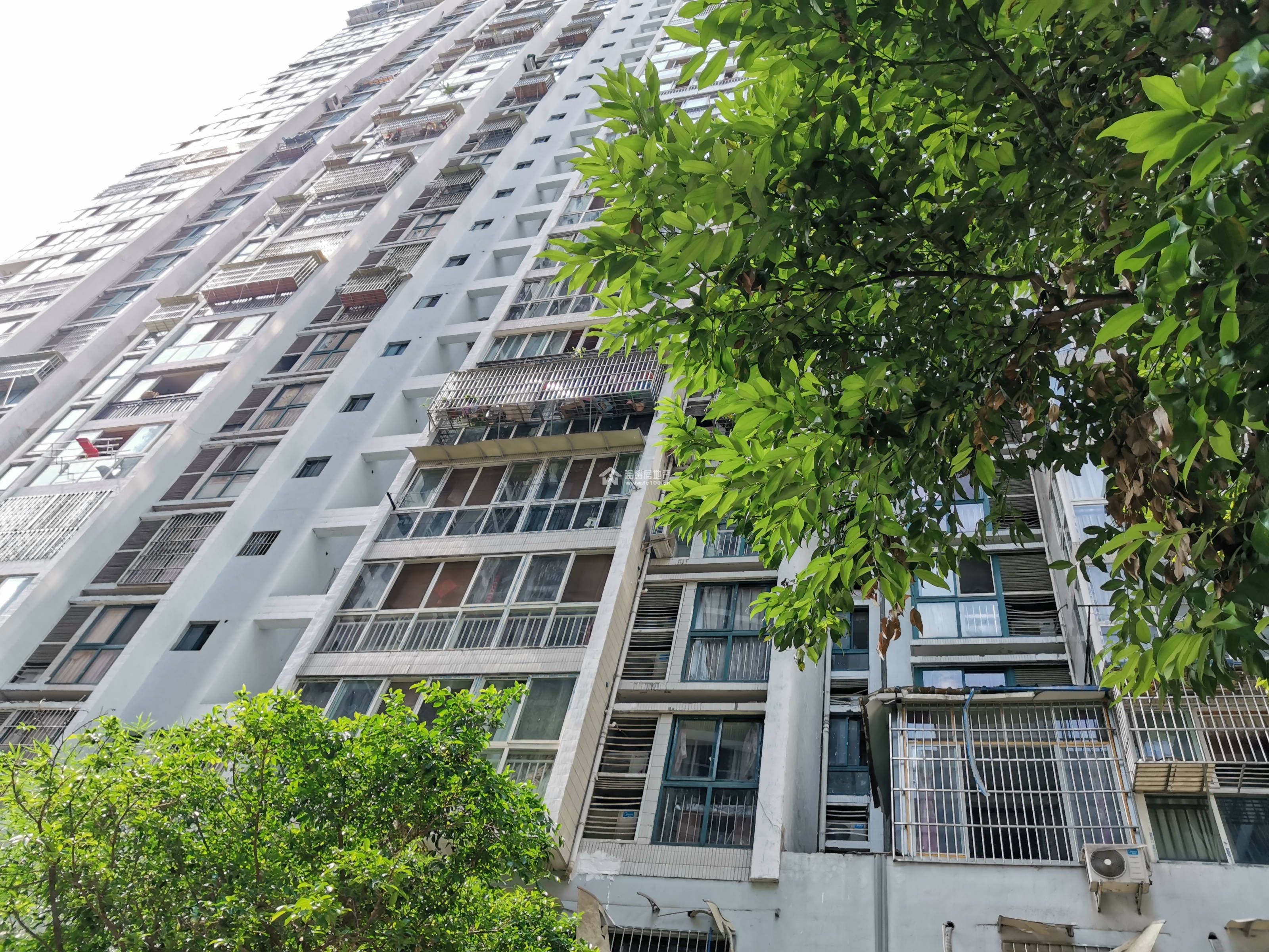 公园印象   图片