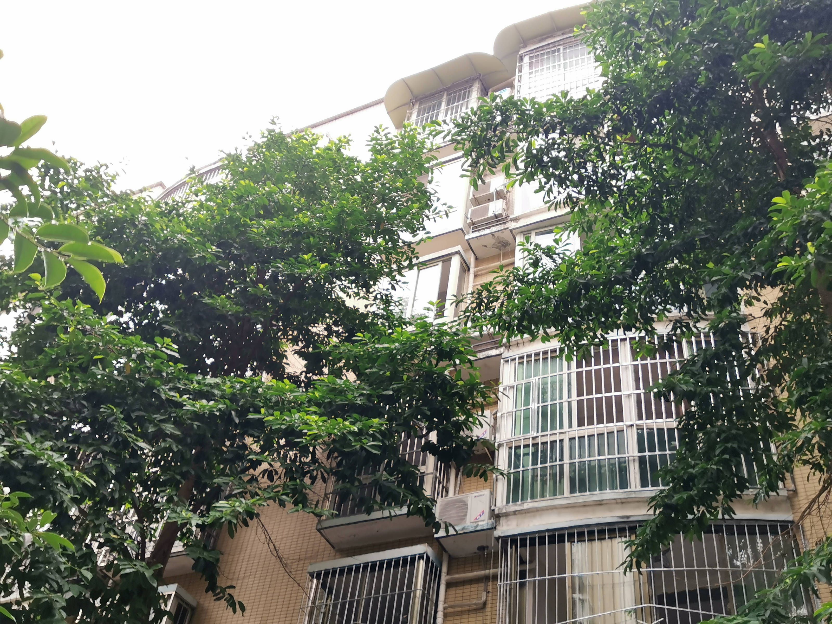 精华逸景一期图片