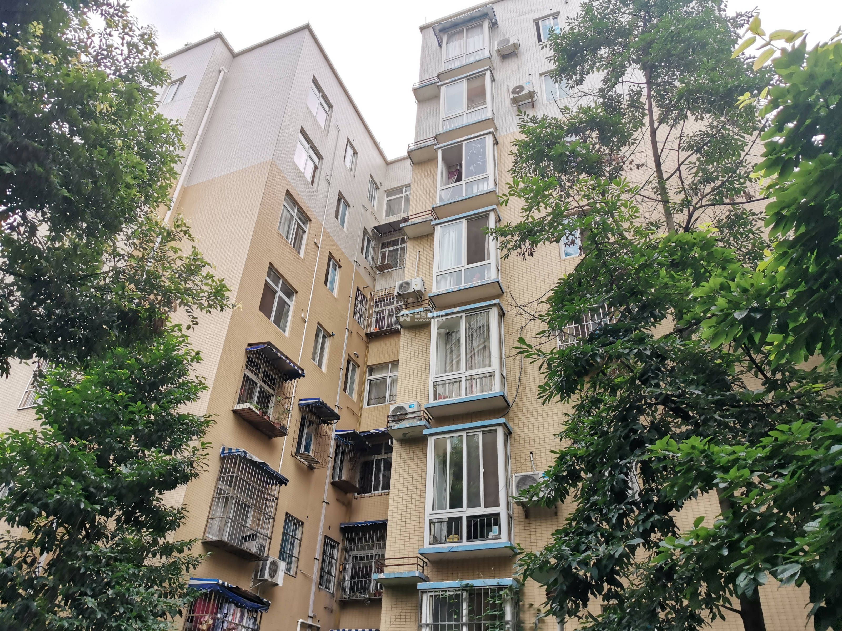 精华逸景一期图片