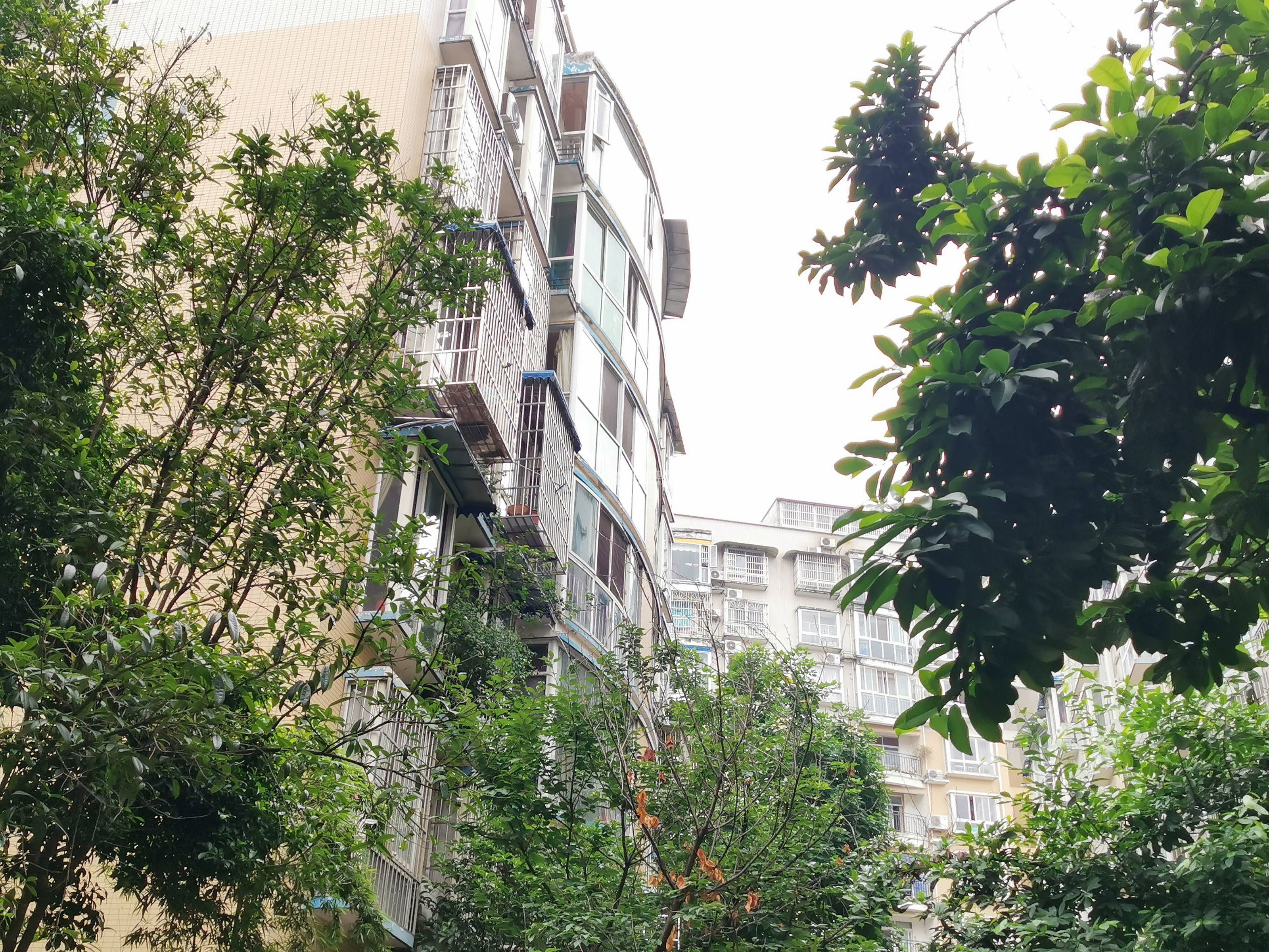 精华逸景一期图片