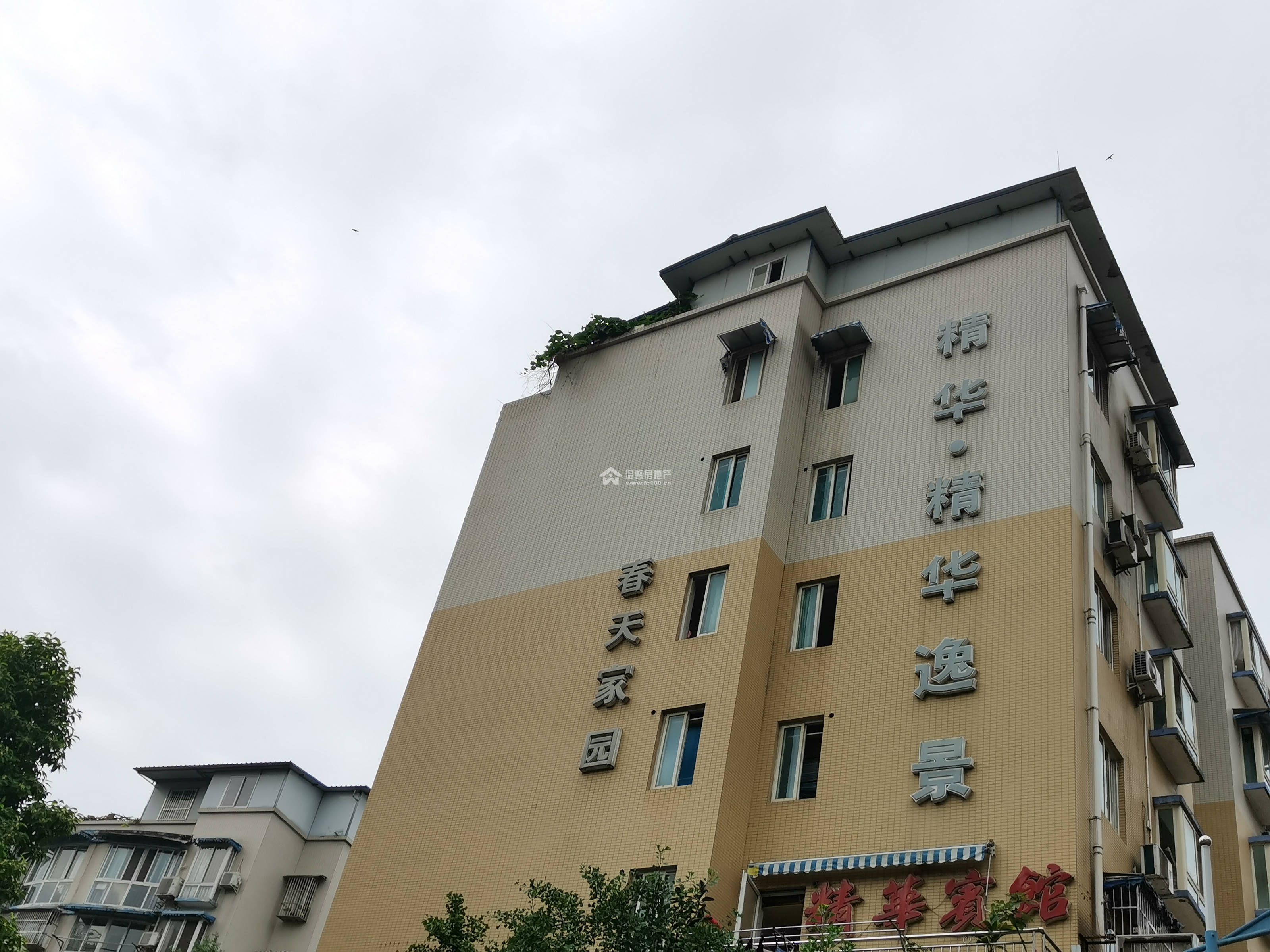 精华逸景一期图片