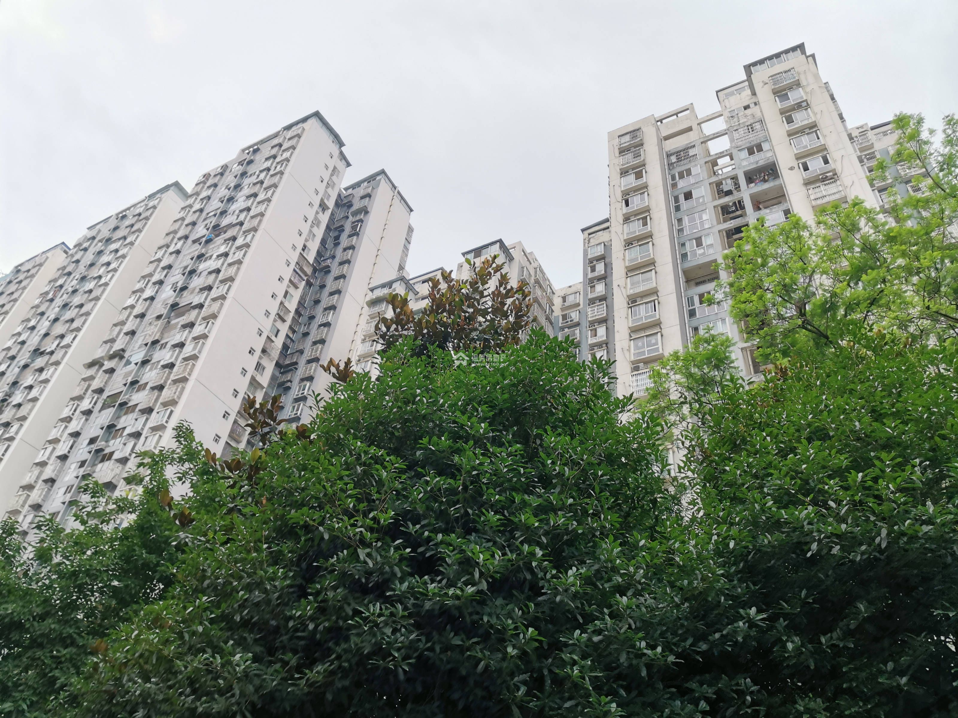 新海上花园图片