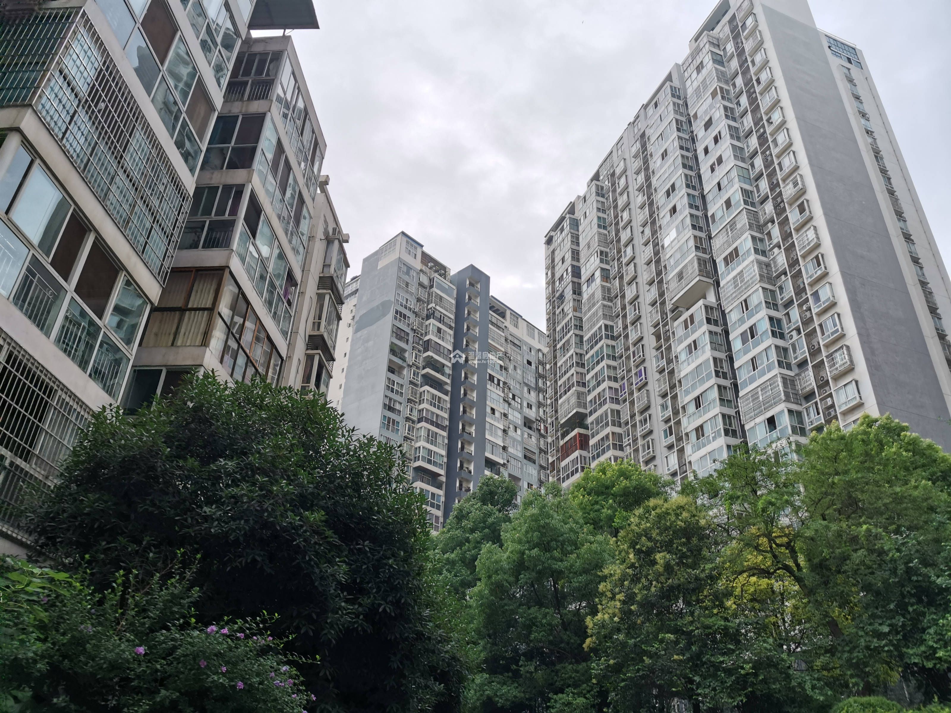 新海上花园图片