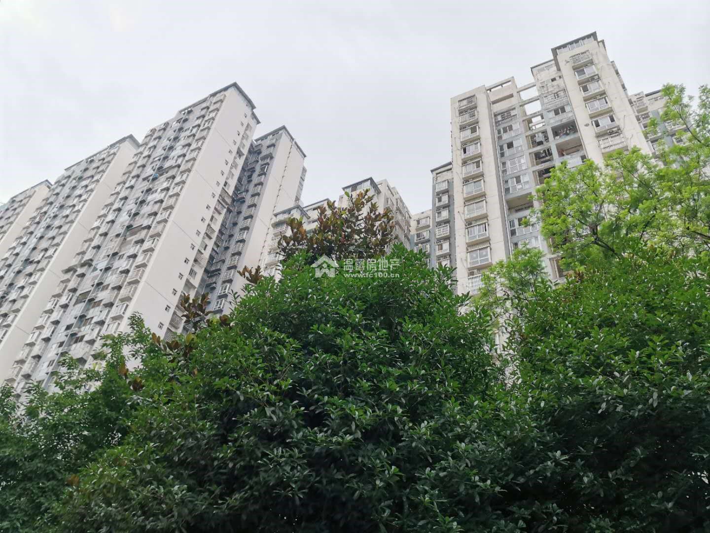 新海上花园图片