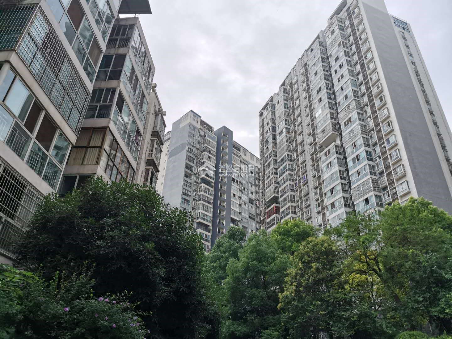 新海上花园图片