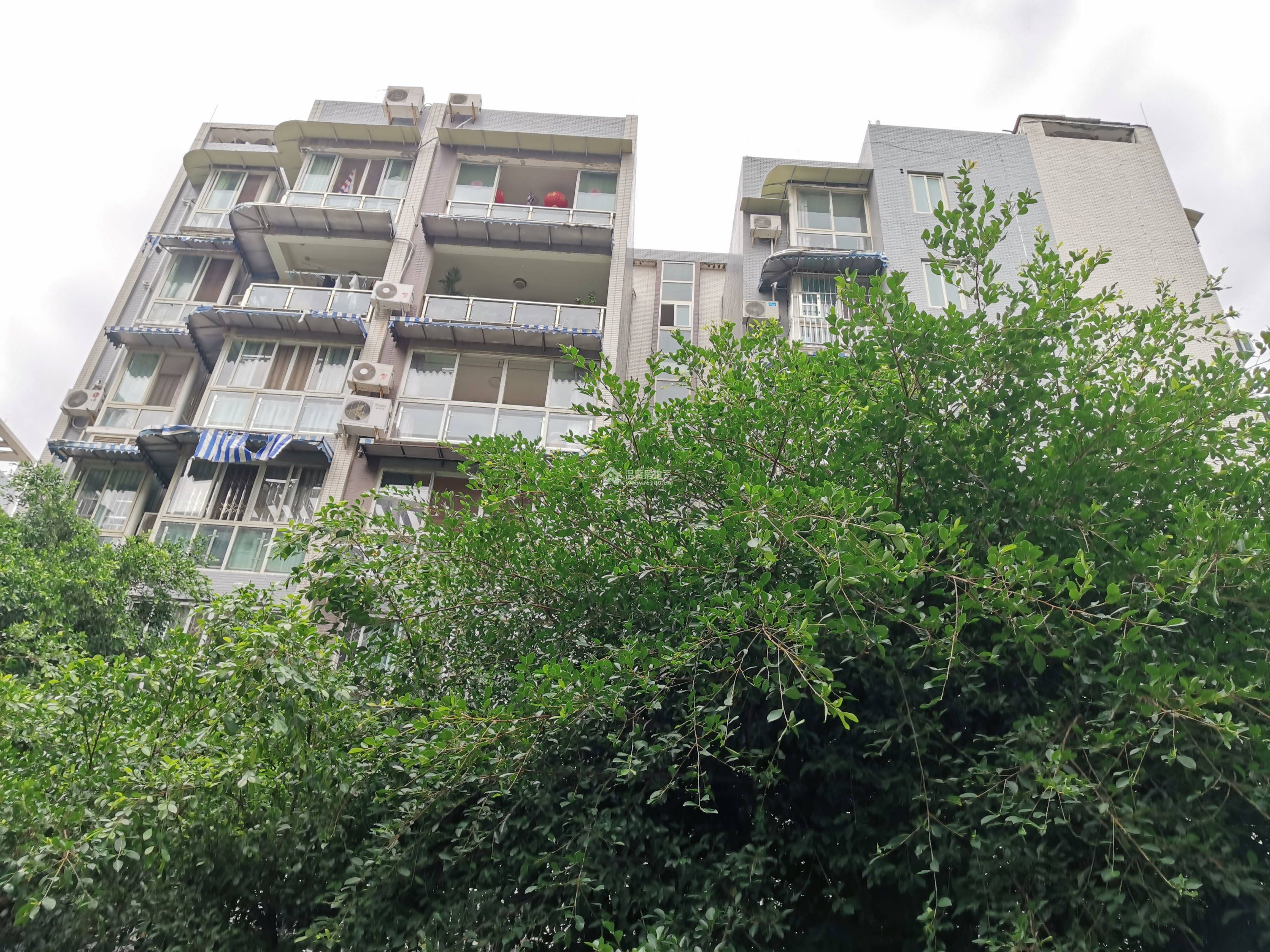 蓝水湾一期图片