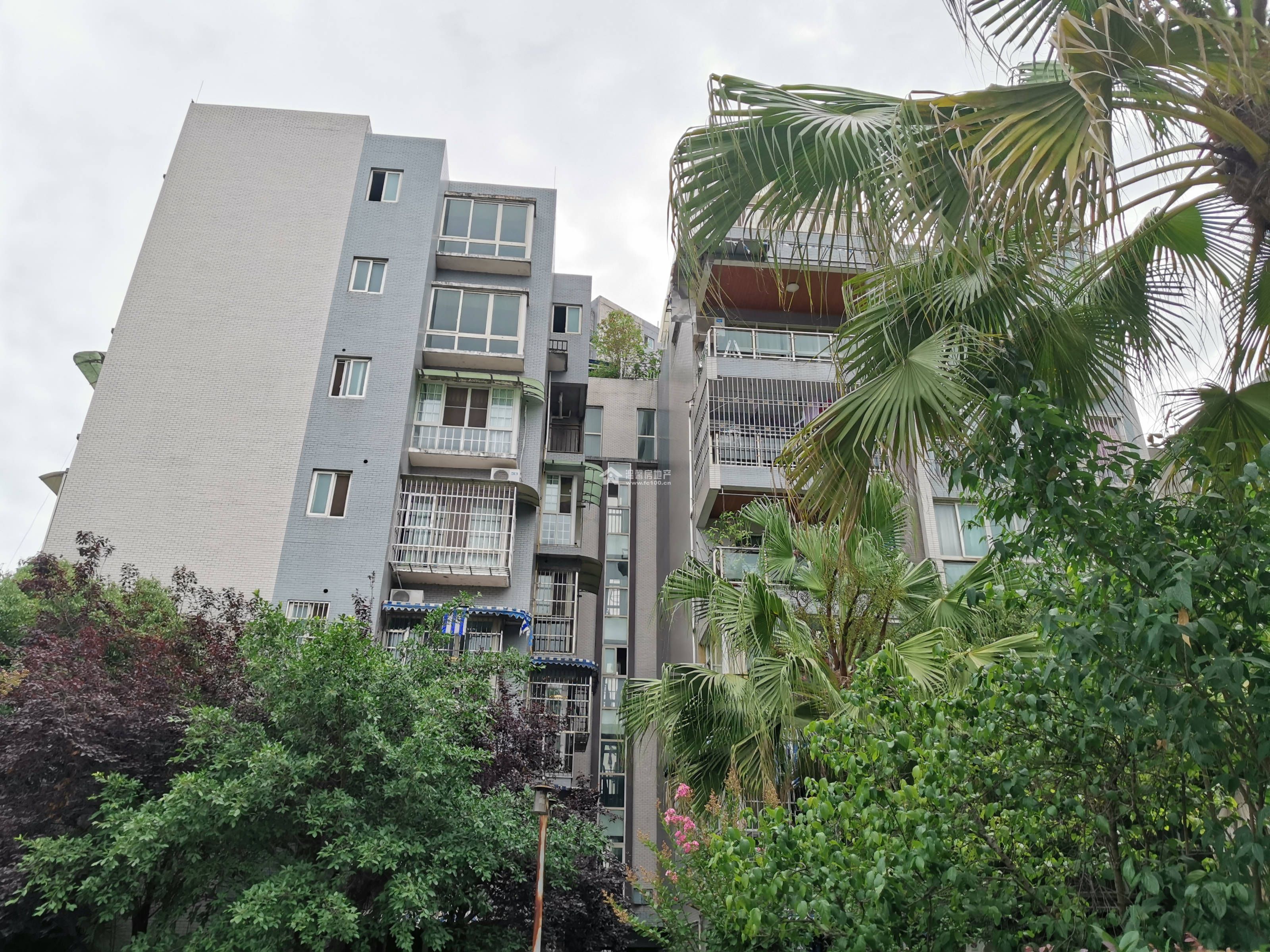 蓝水湾一期图片