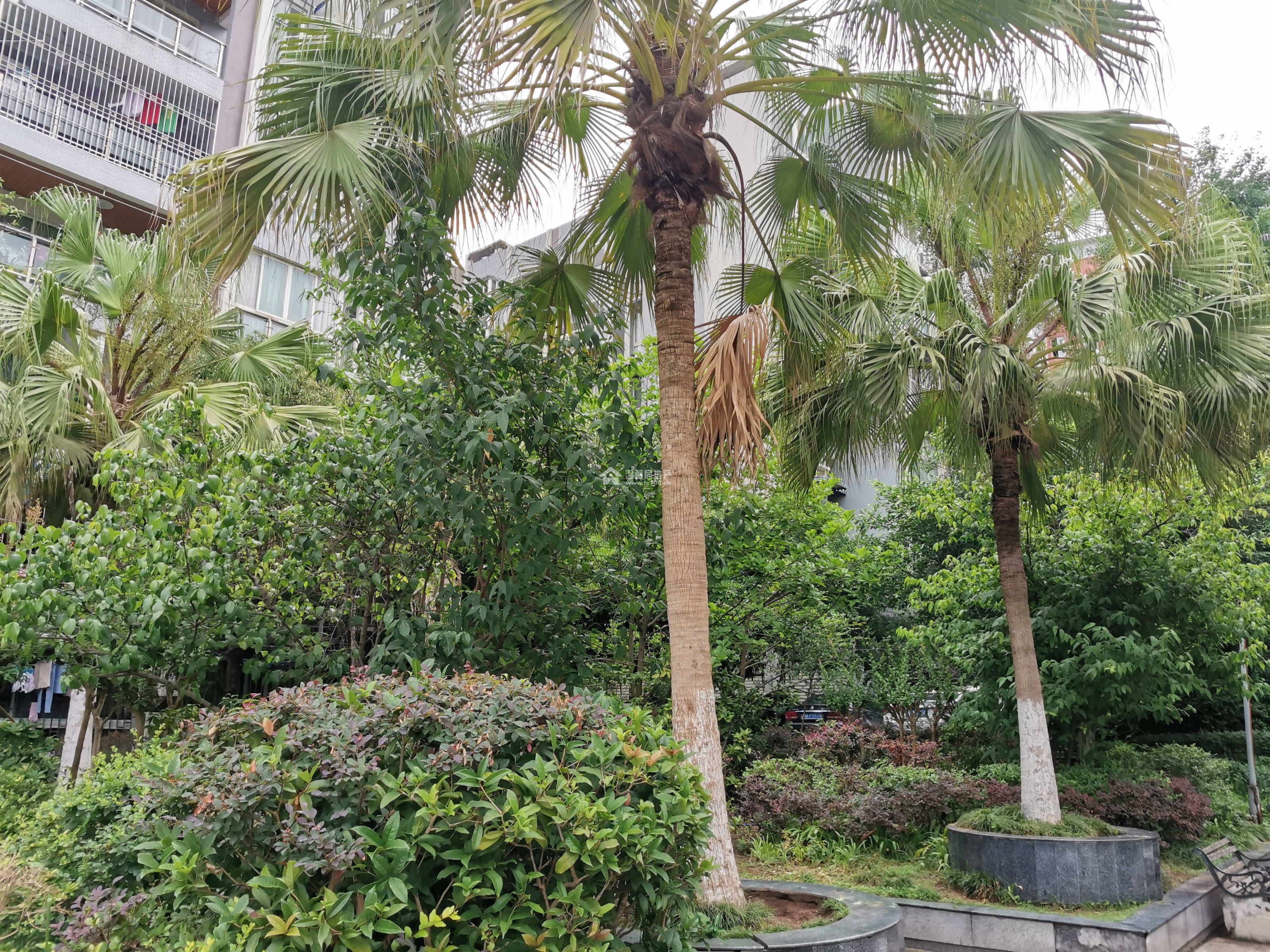 蓝水湾一期图片