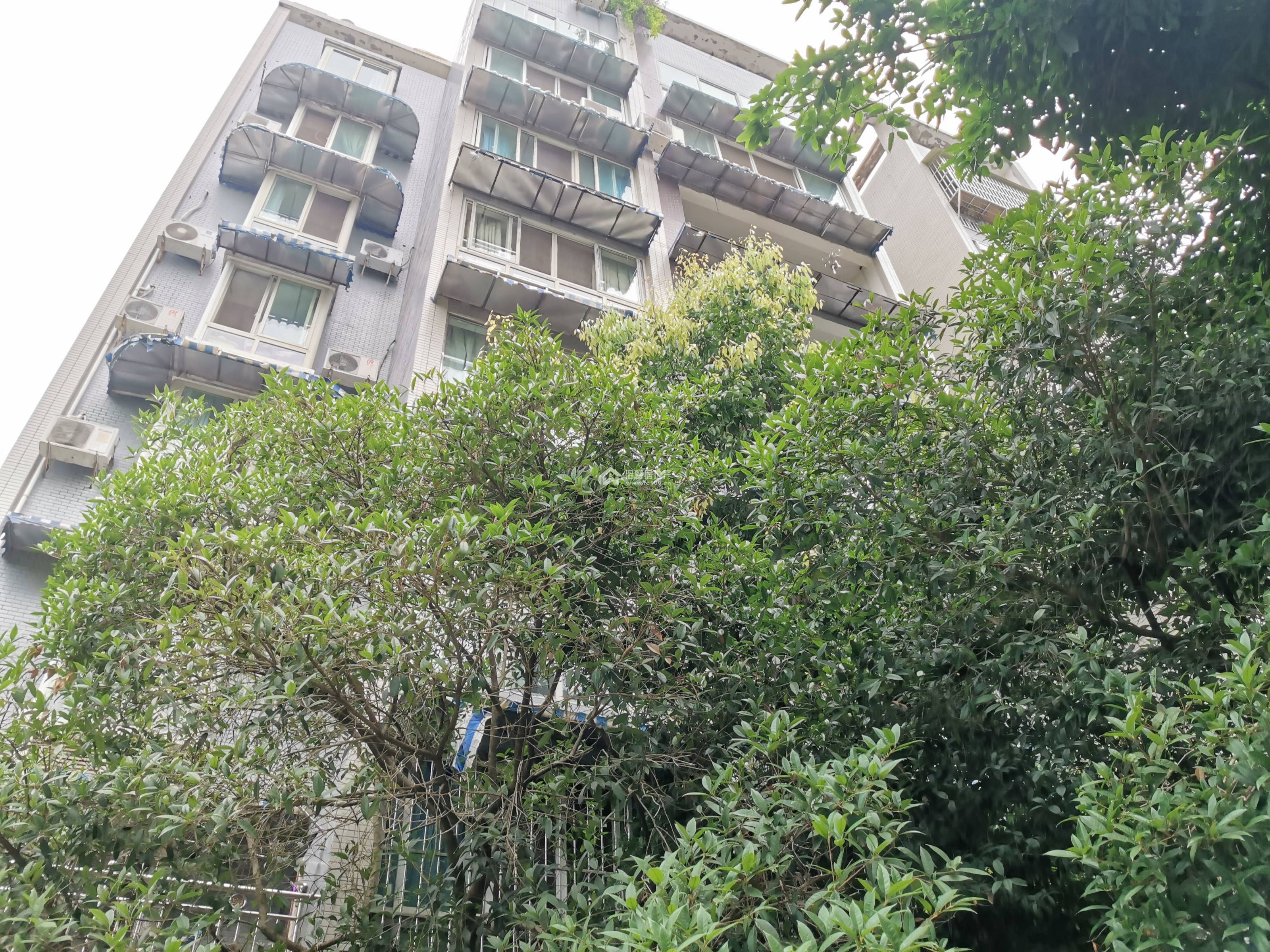 蓝水湾一期图片