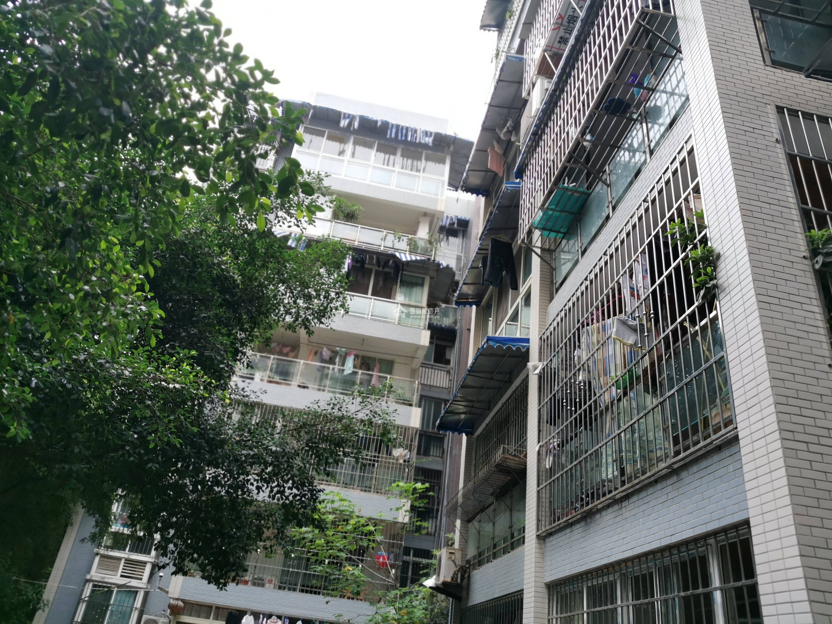 蓝水湾一期图片