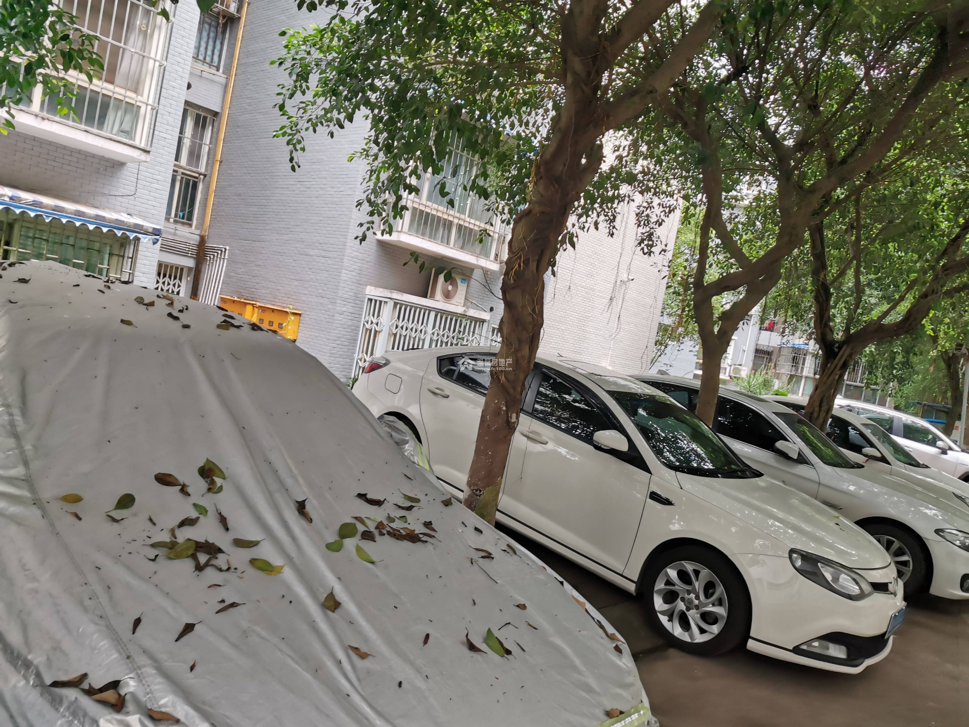 蓝水湾一期图片