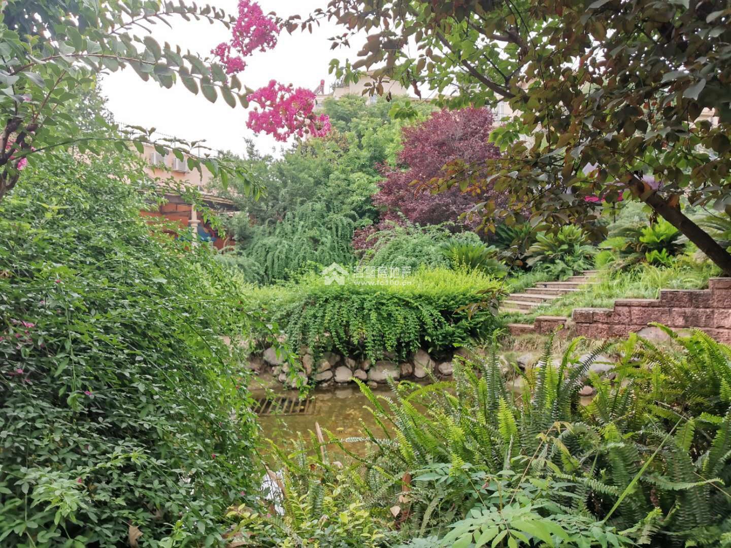 河景馨城A区图片