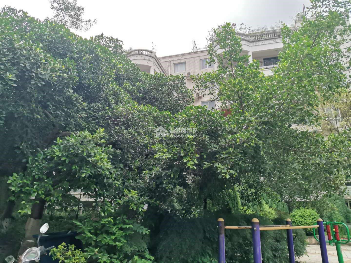 河景馨城A区图片