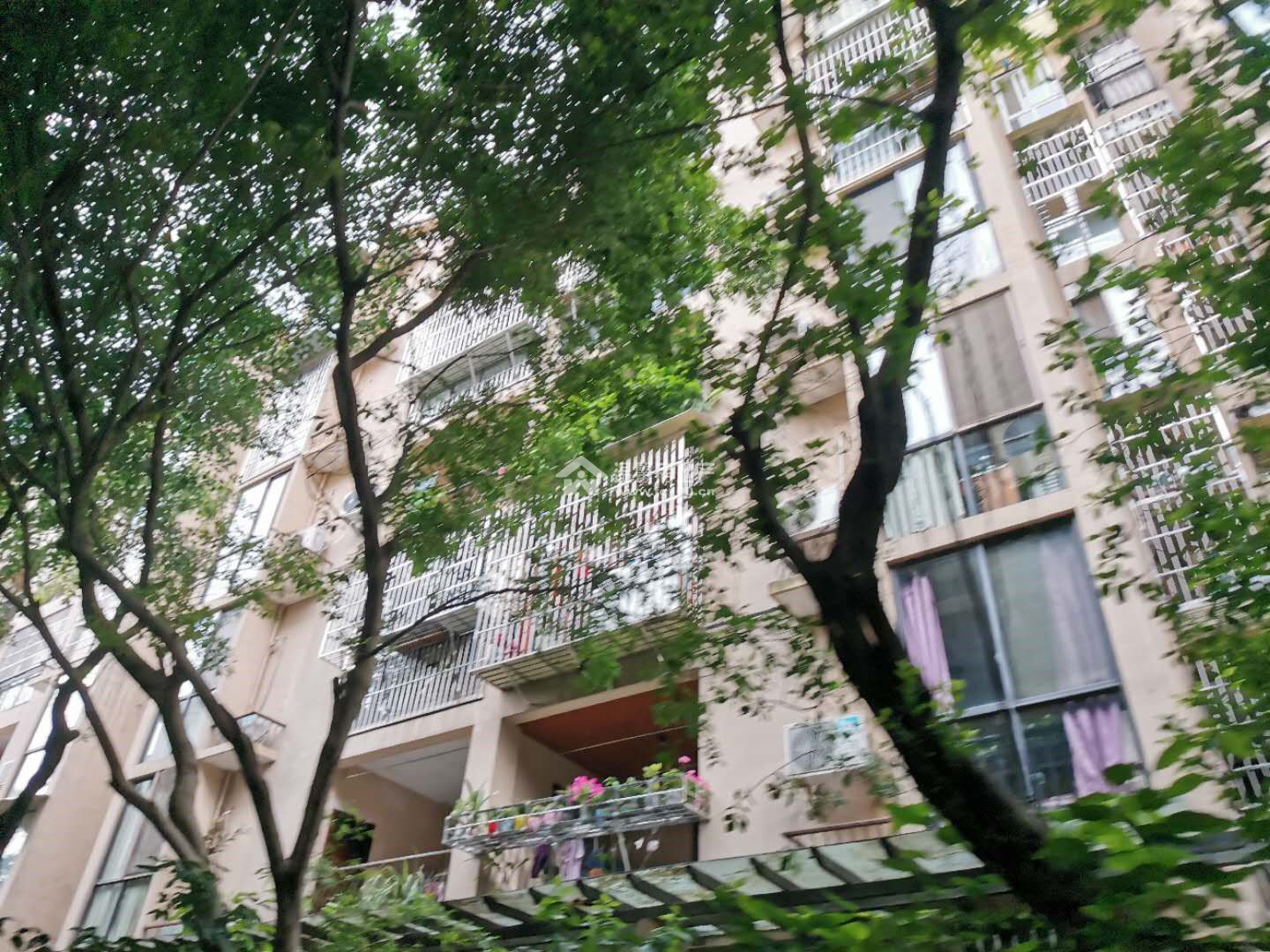 河景馨城A区图片