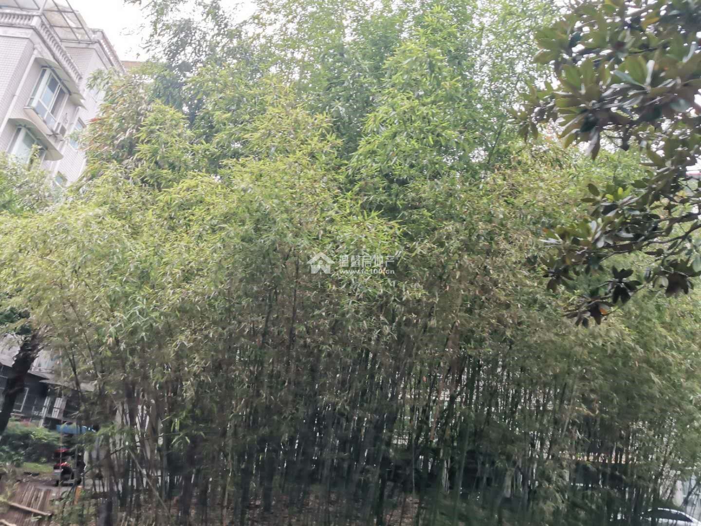 河景馨城A区图片