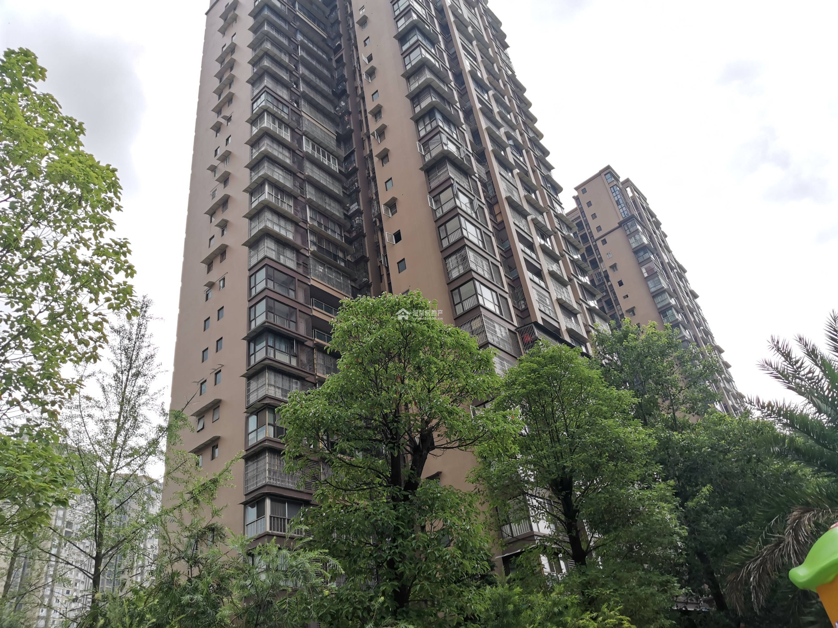 东方威尼斯A区图片