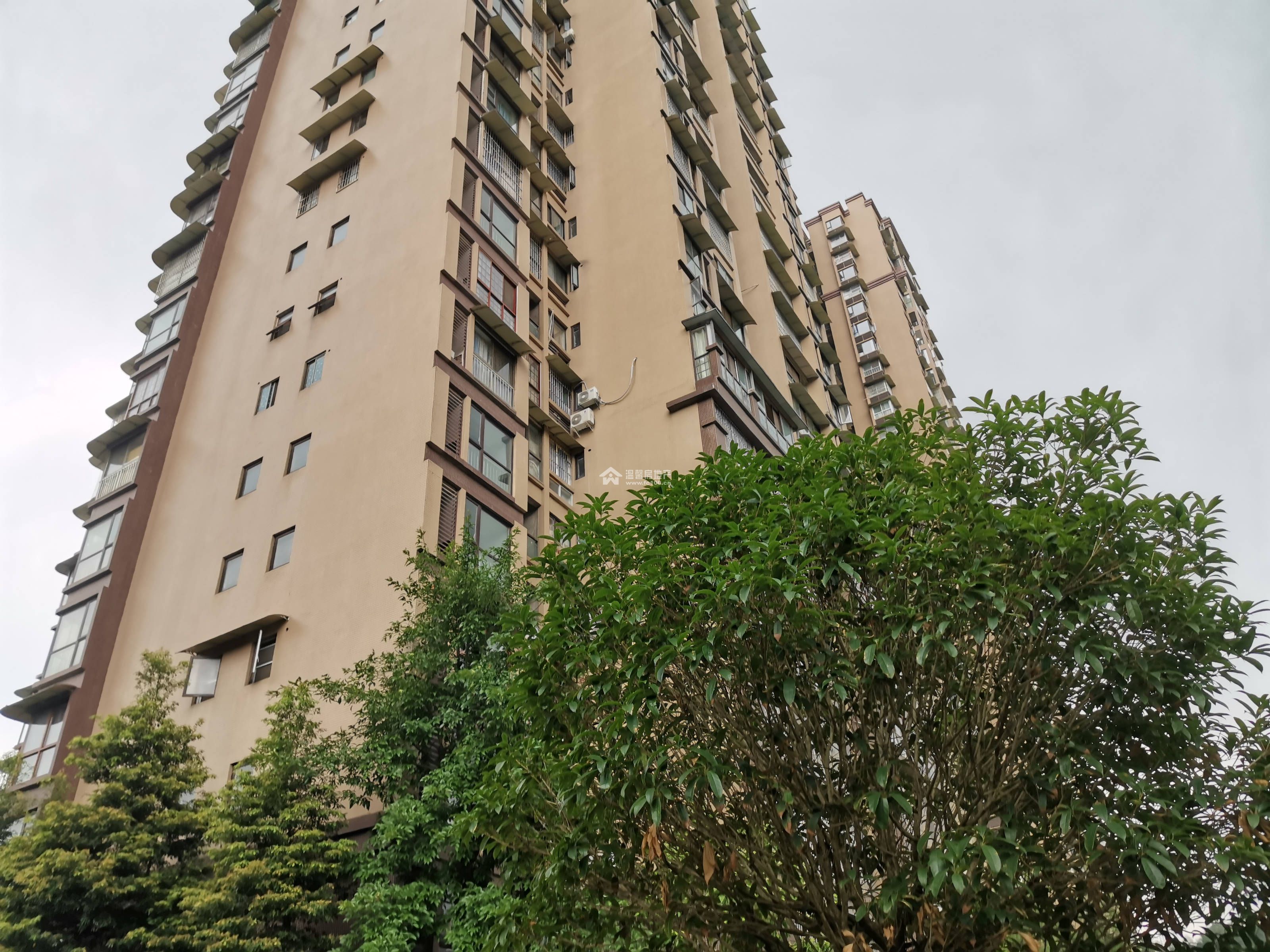 东方威尼斯A区图片