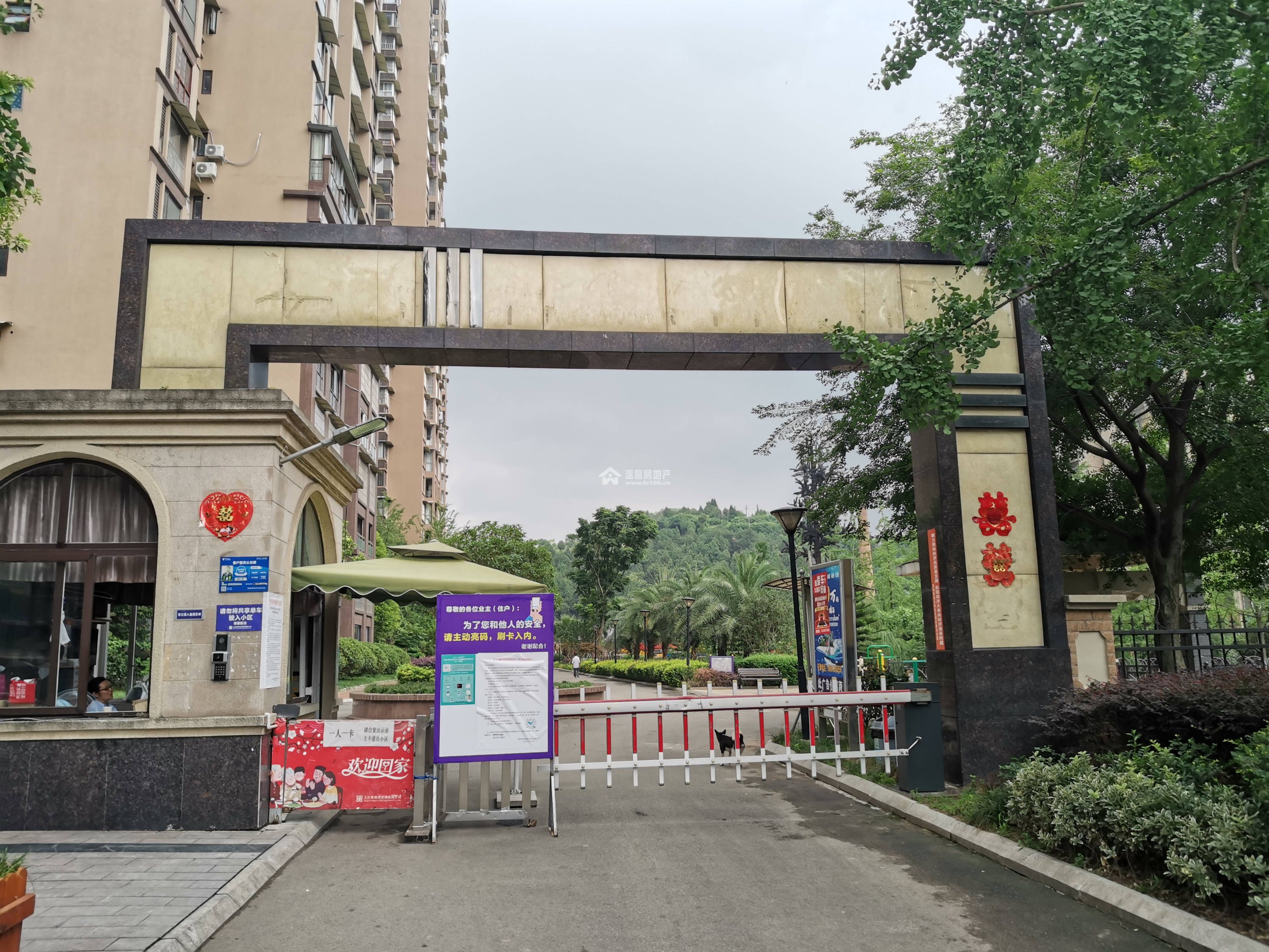 东方威尼斯A区图片