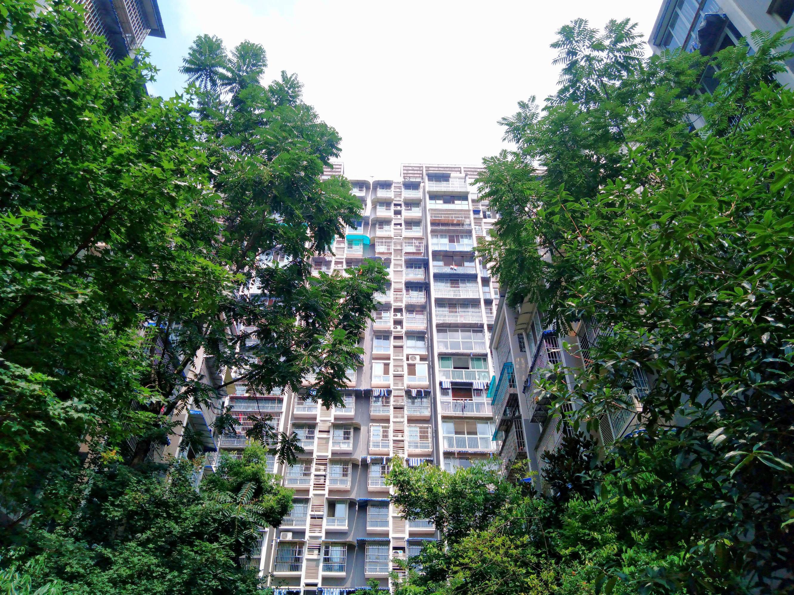 东湖胜景二期图片