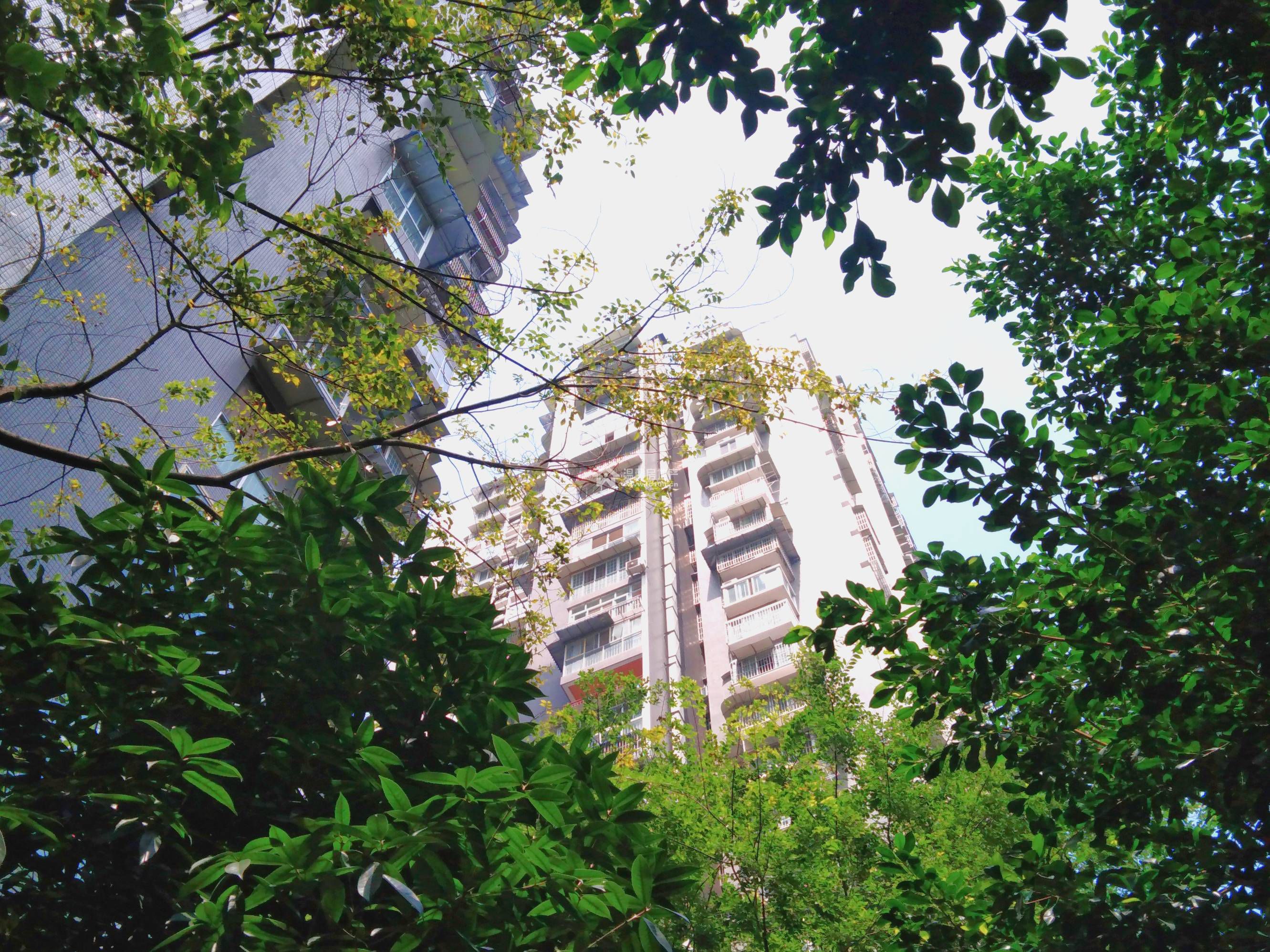 东湖胜景二期图片