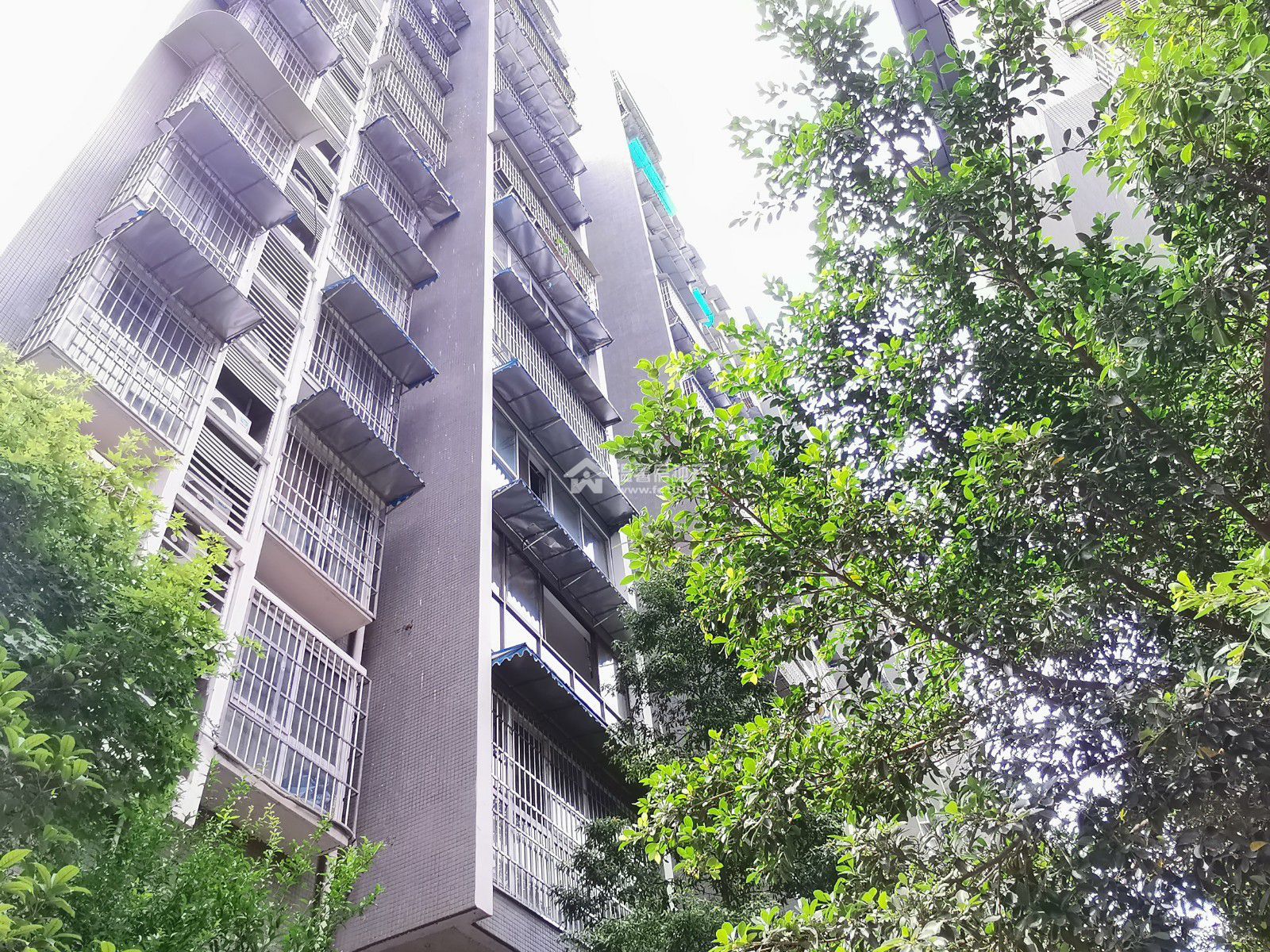 东湖胜景二期图片